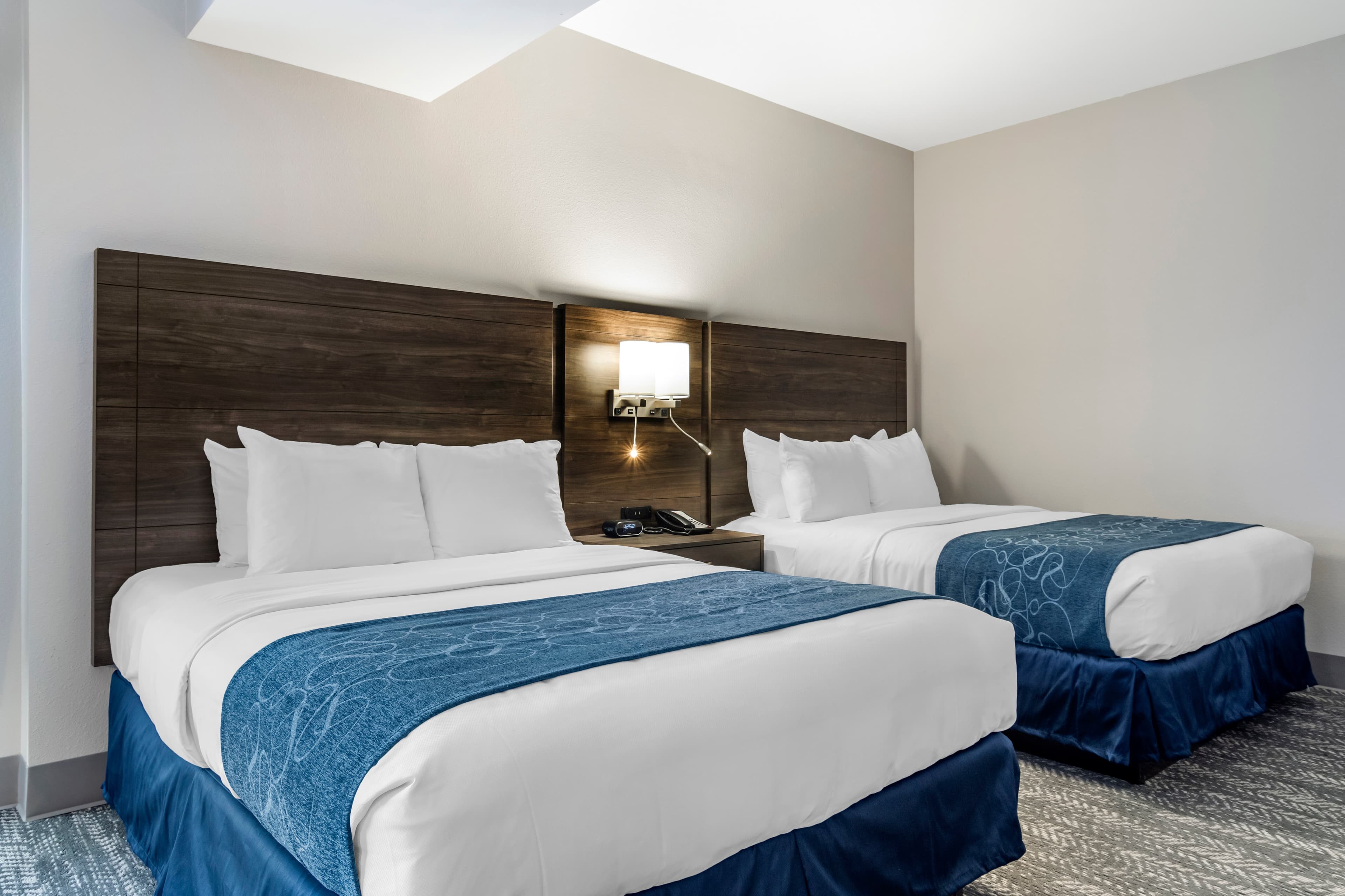 Comfort Suites McDonough Atlanta South — 2