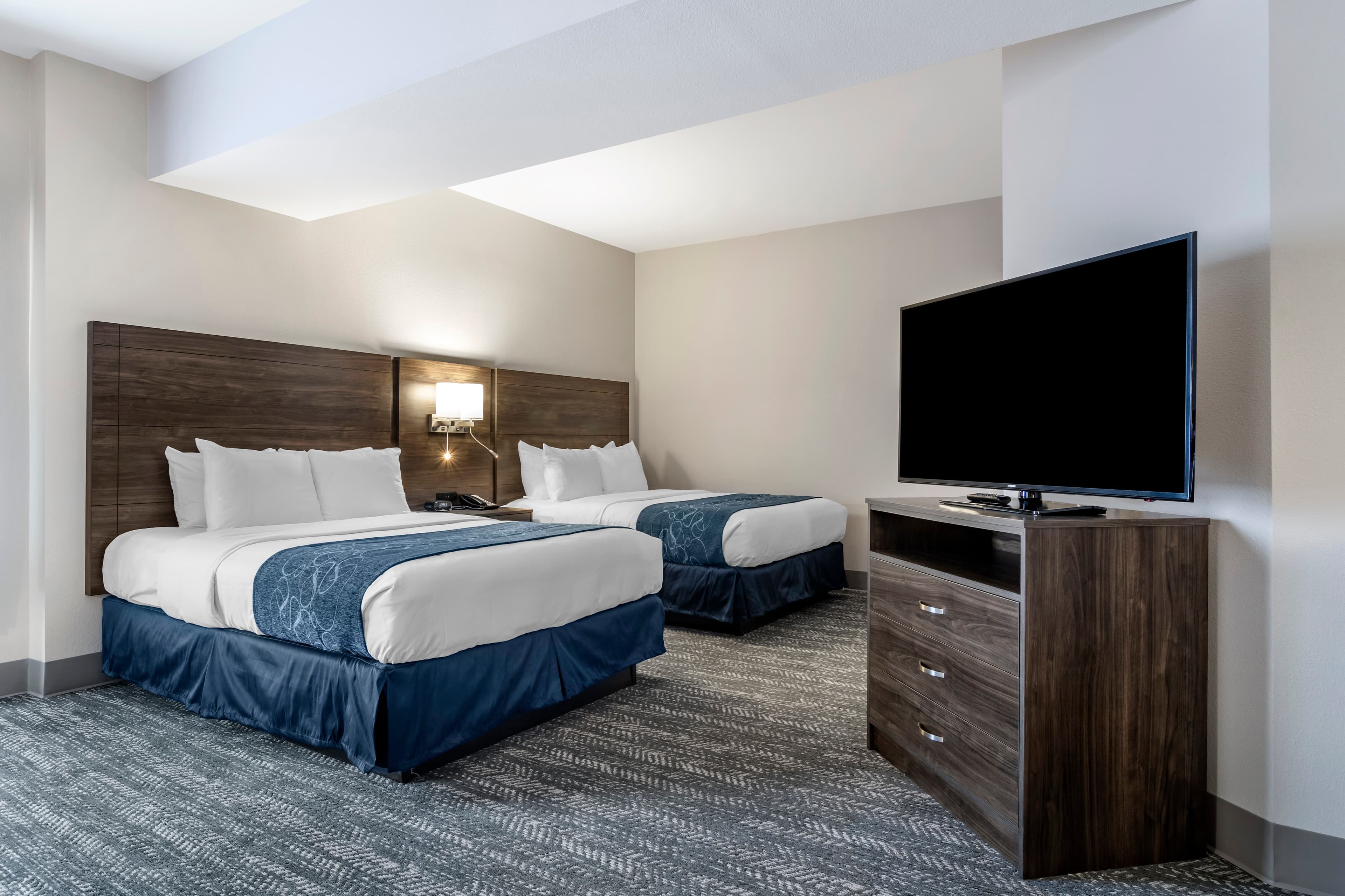 Comfort Suites McDonough Atlanta South — 3