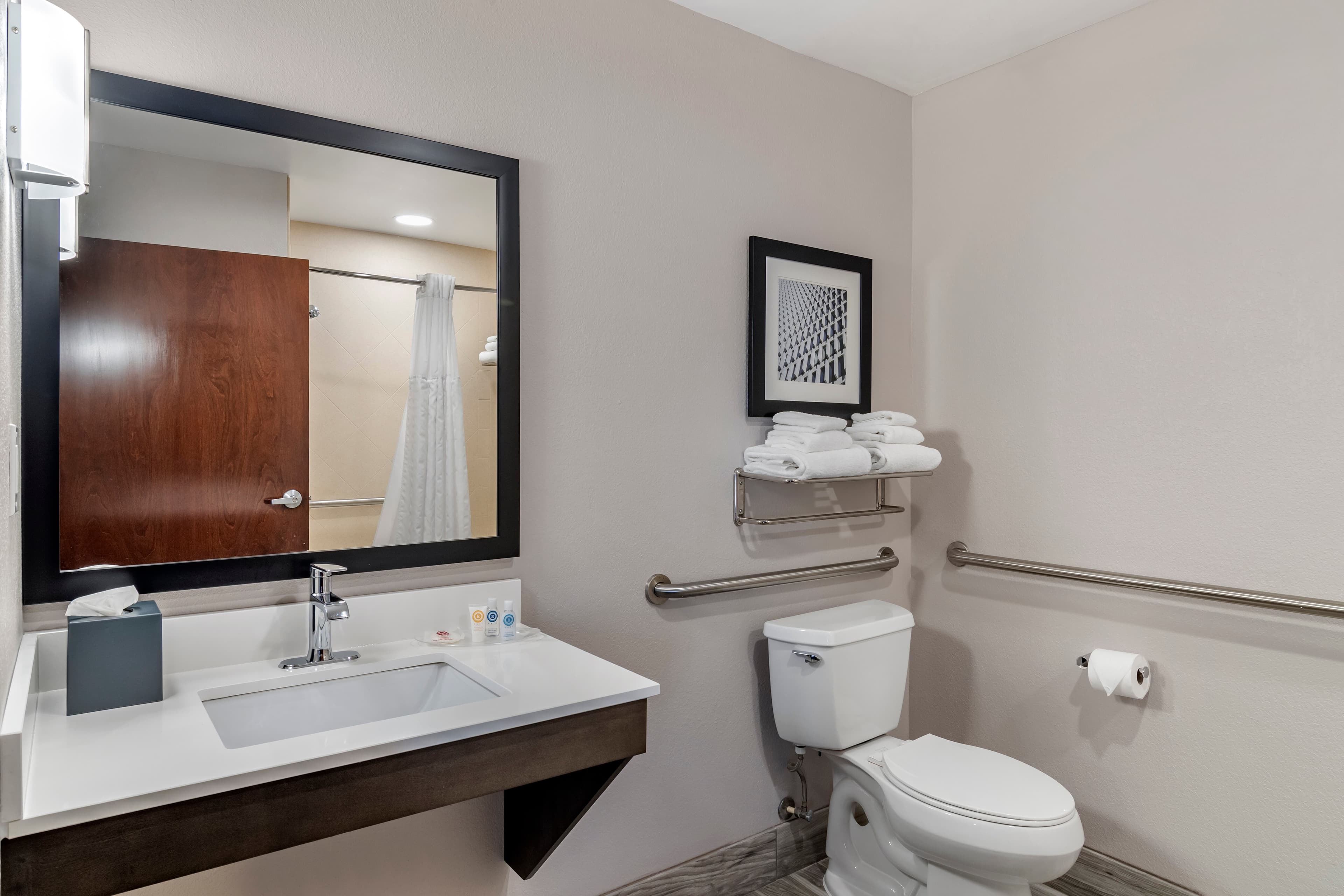 Comfort Suites McDonough Atlanta South — 6