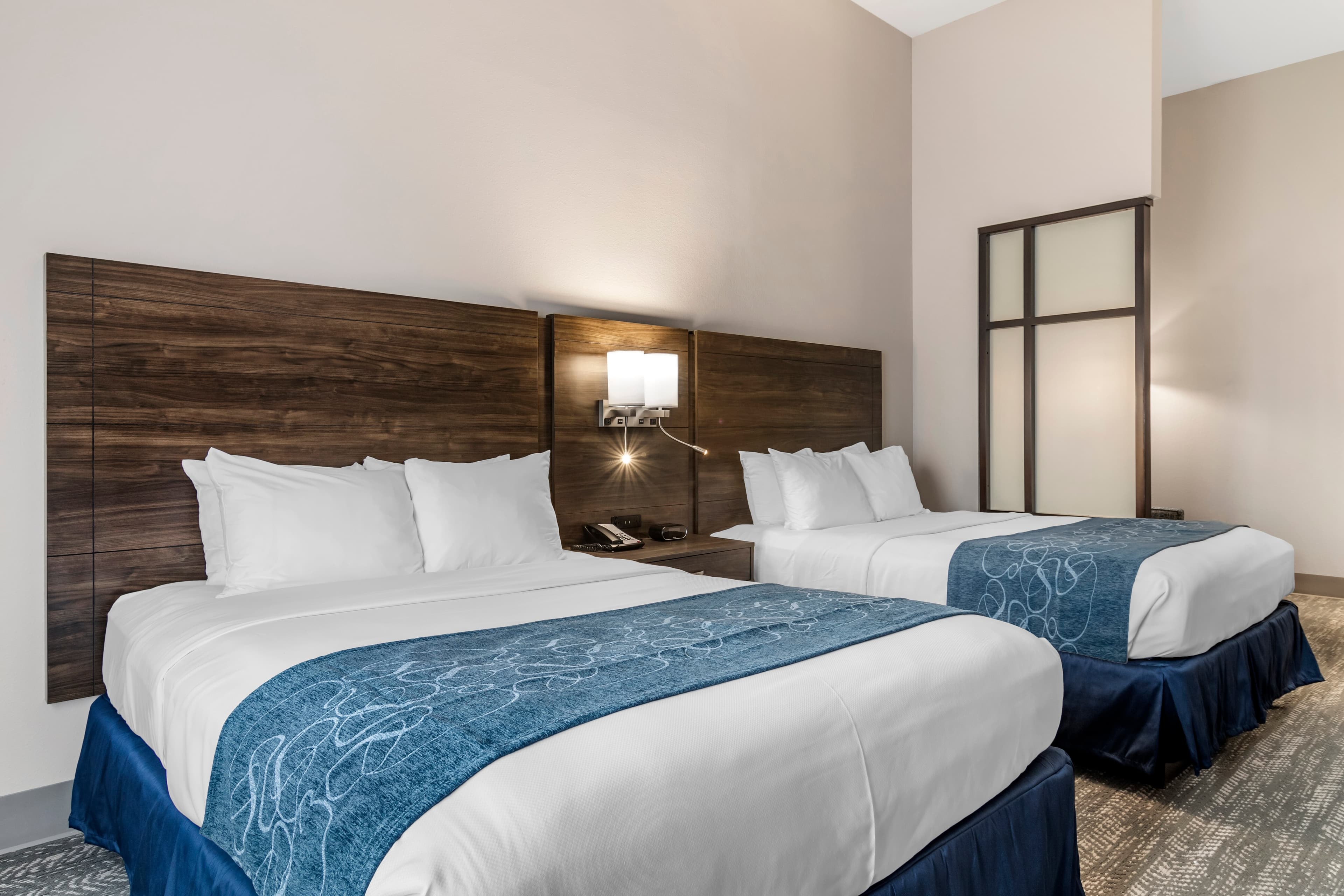 Comfort Suites McDonough Atlanta South — 8