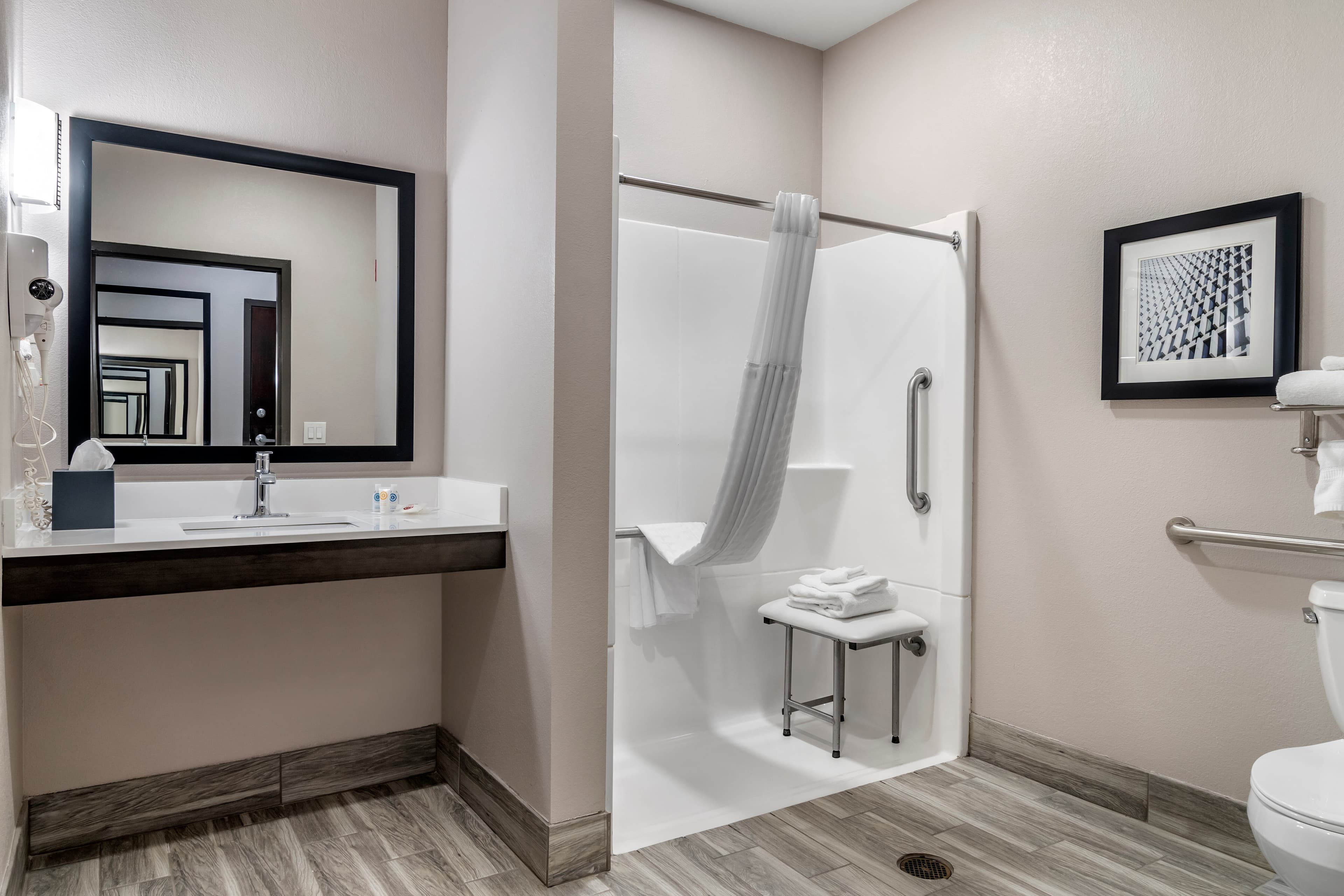 Comfort Suites McDonough Atlanta South — 11