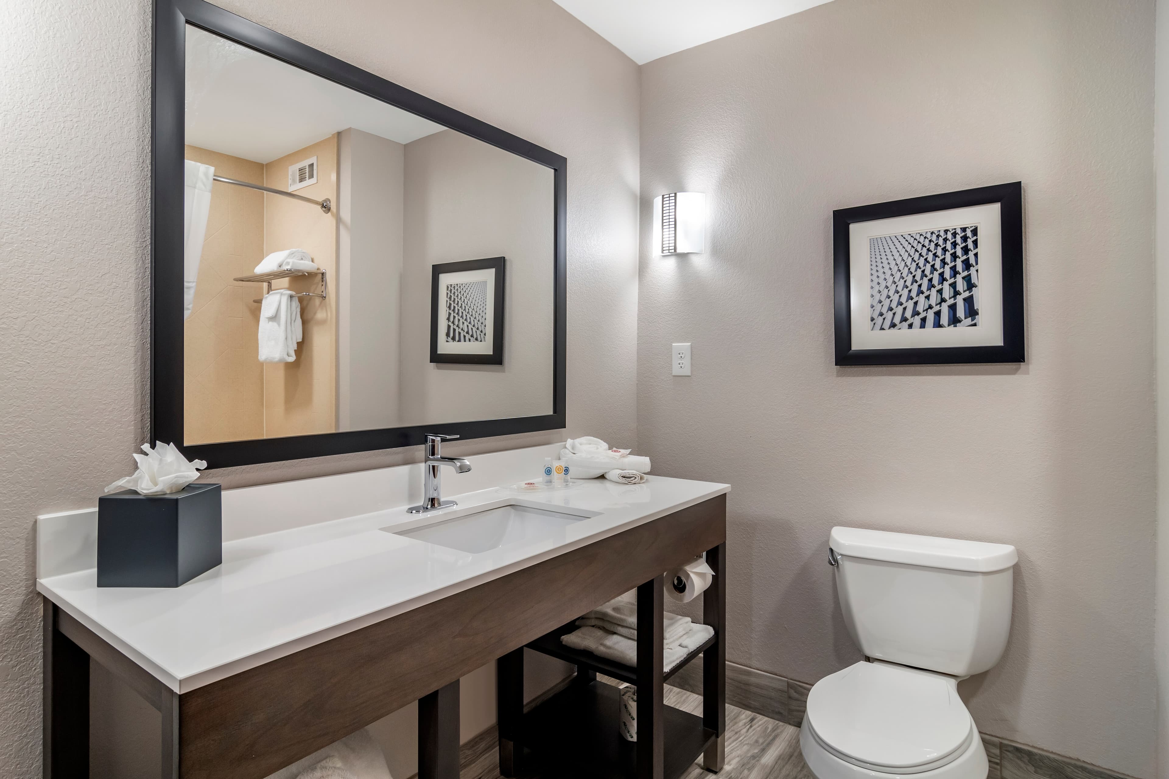 Comfort Suites McDonough Atlanta South — 16