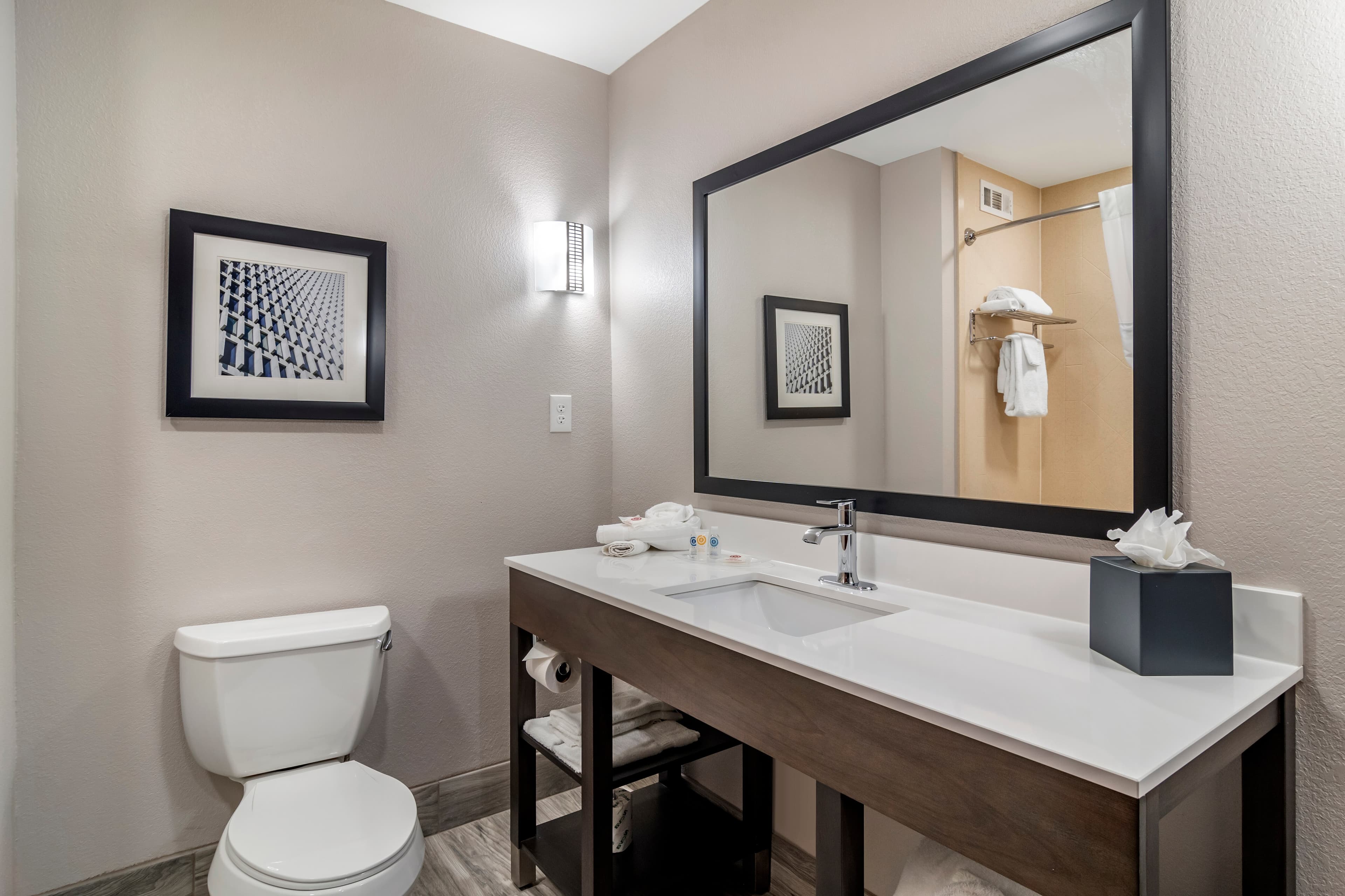 Comfort Suites McDonough Atlanta South — 21
