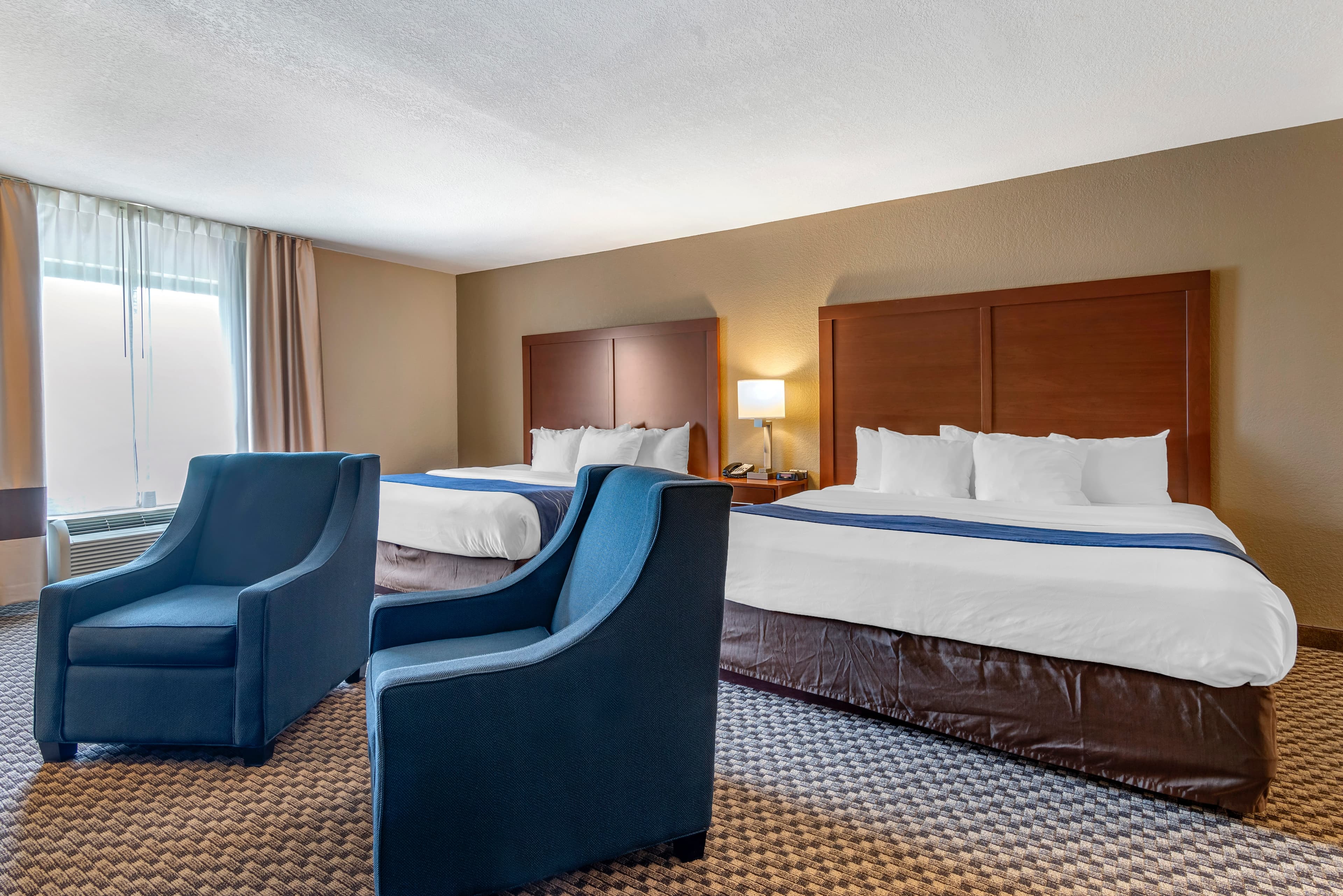 Comfort Inn & Suites Blue Ridge — 12