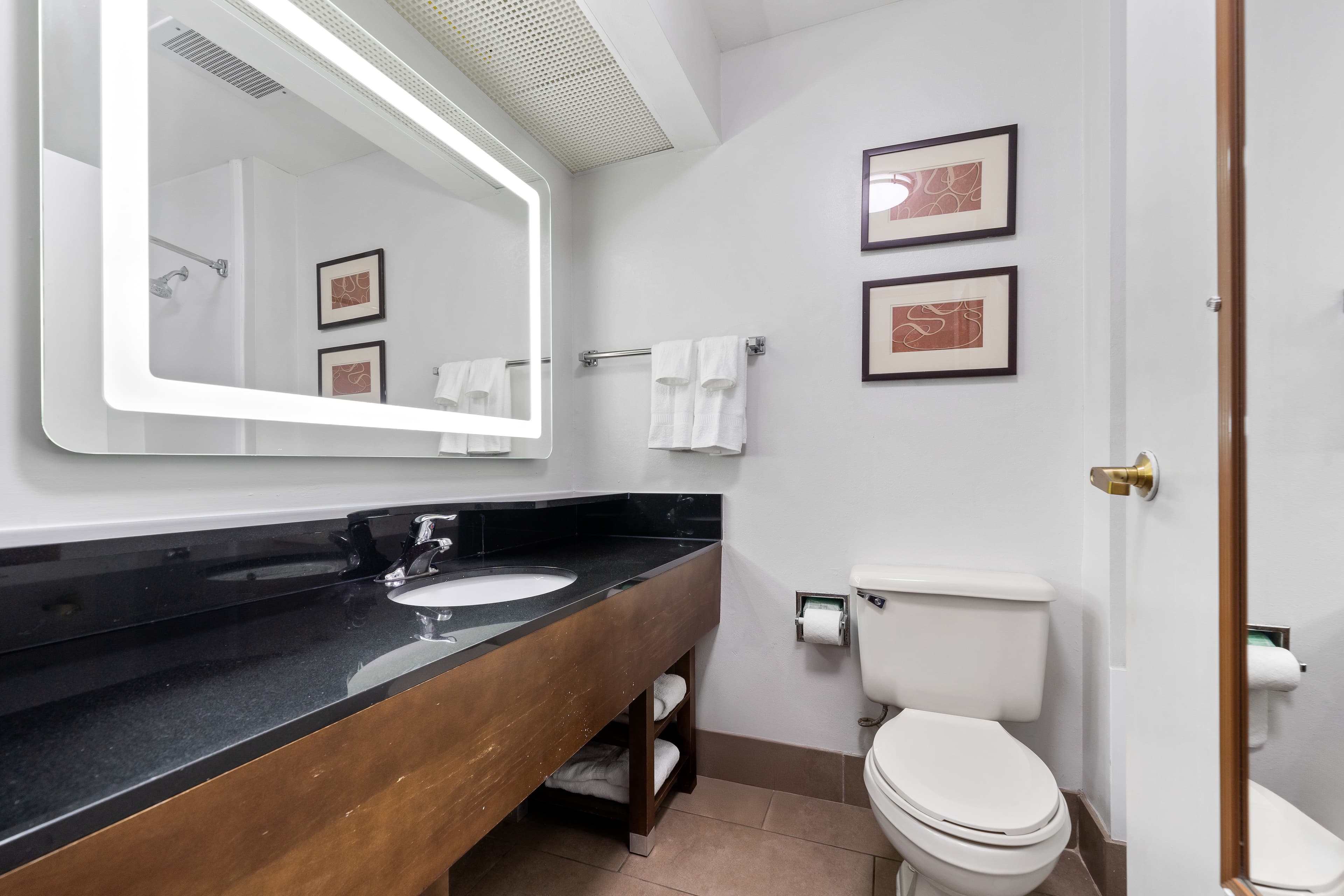 Comfort Suites Milledgeville — 10