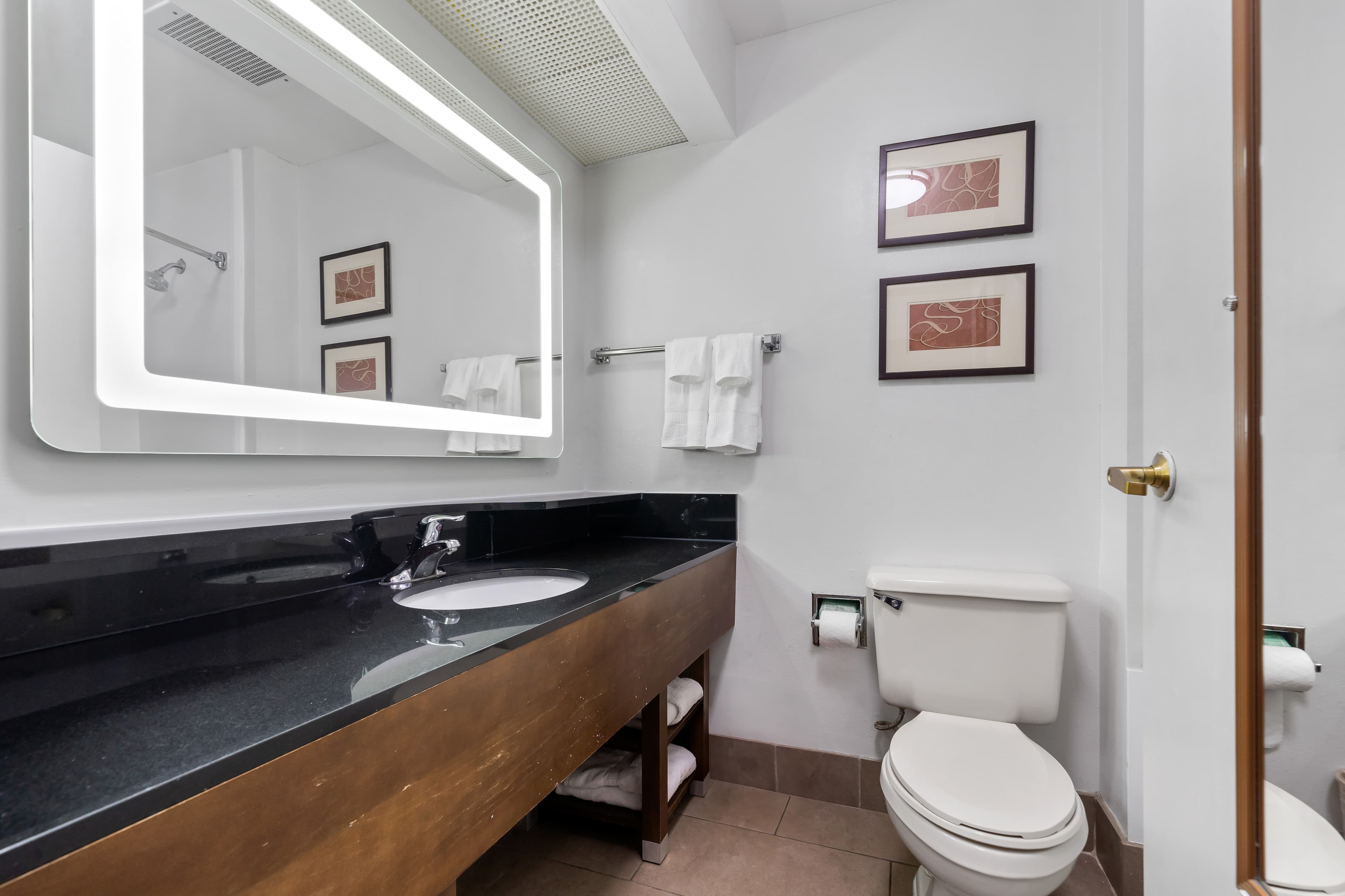Comfort Suites Milledgeville — 19
