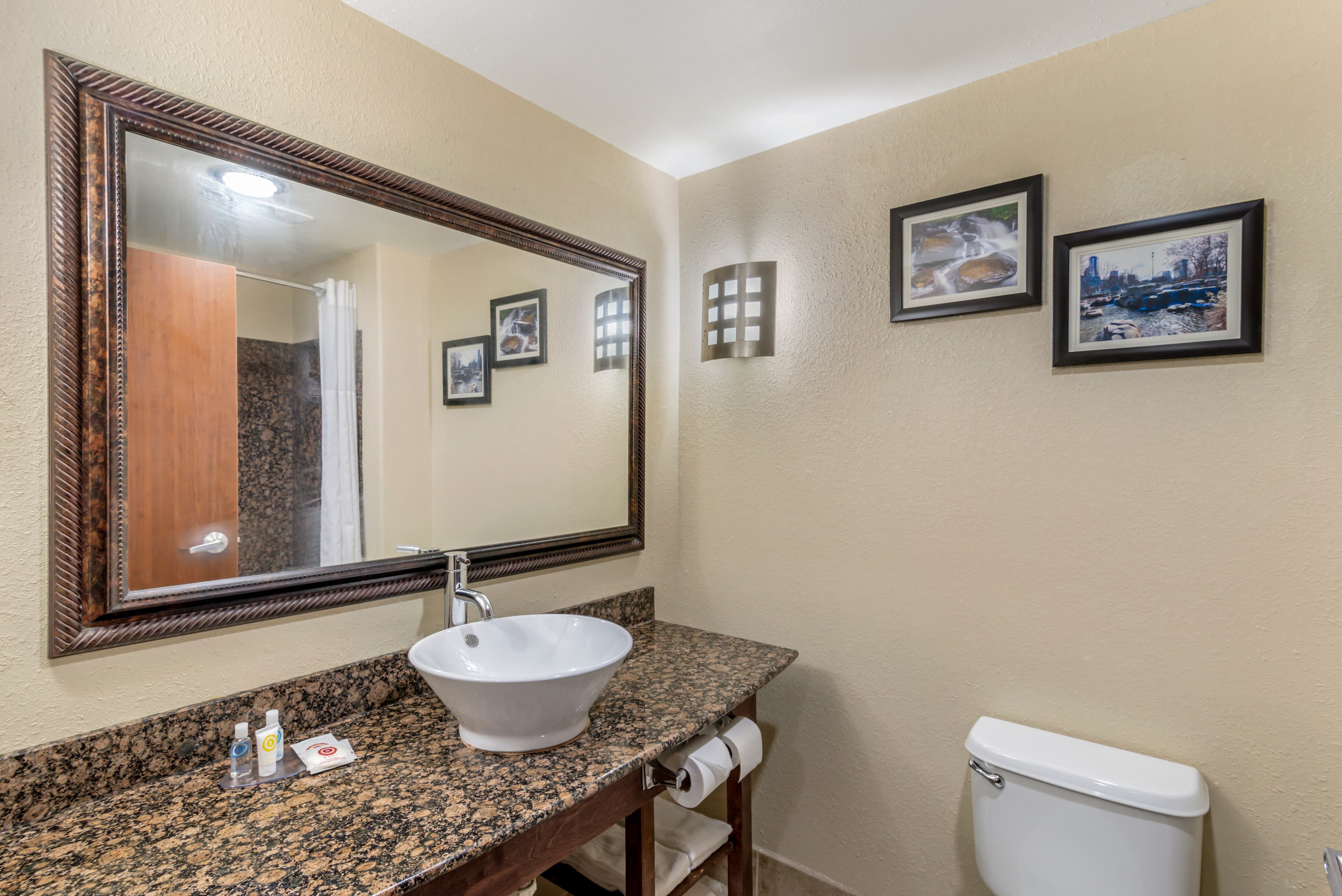 Comfort Suites At Kennesaw State University — 11