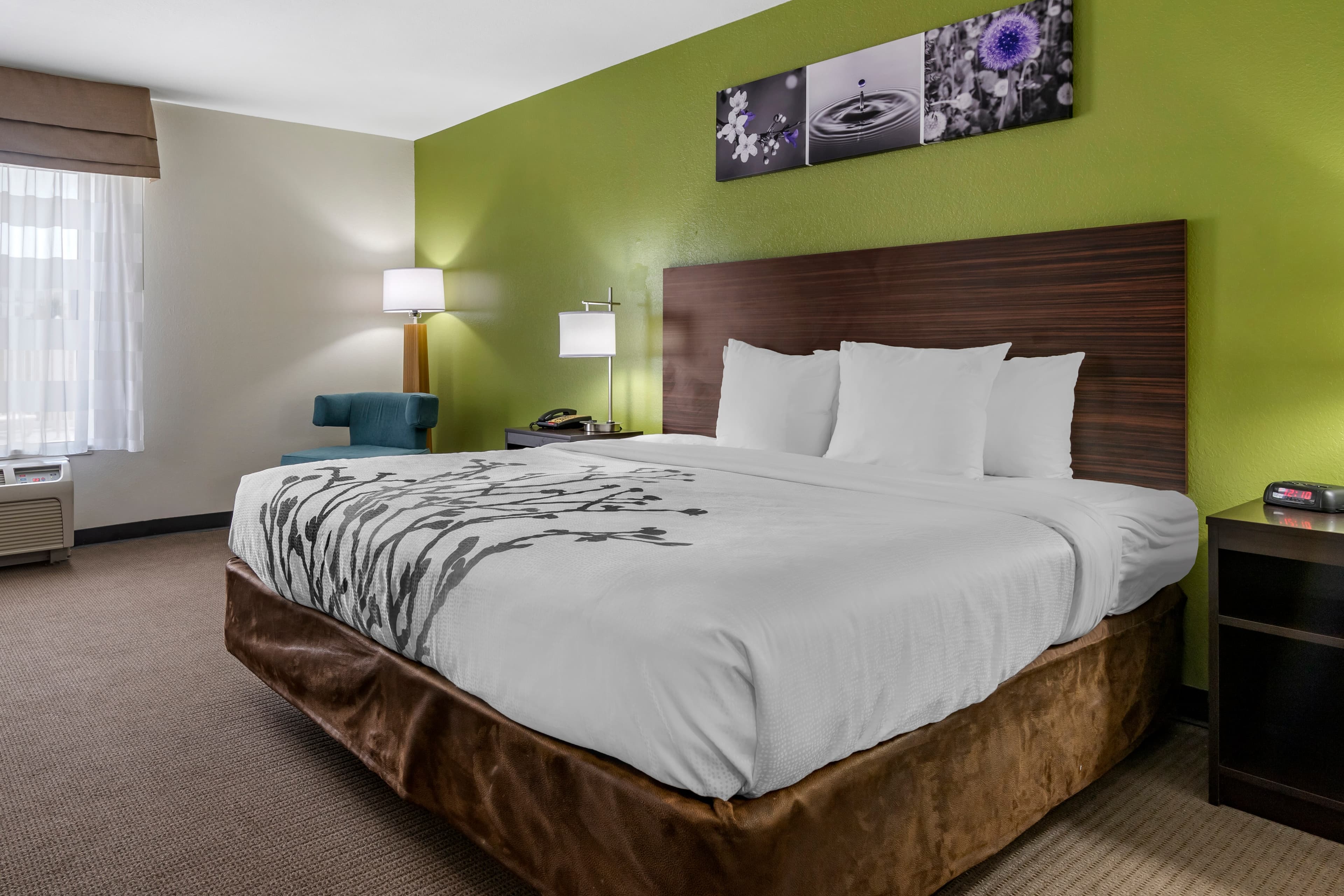 Sleep Inn & Suites Brunswick North - Image 2