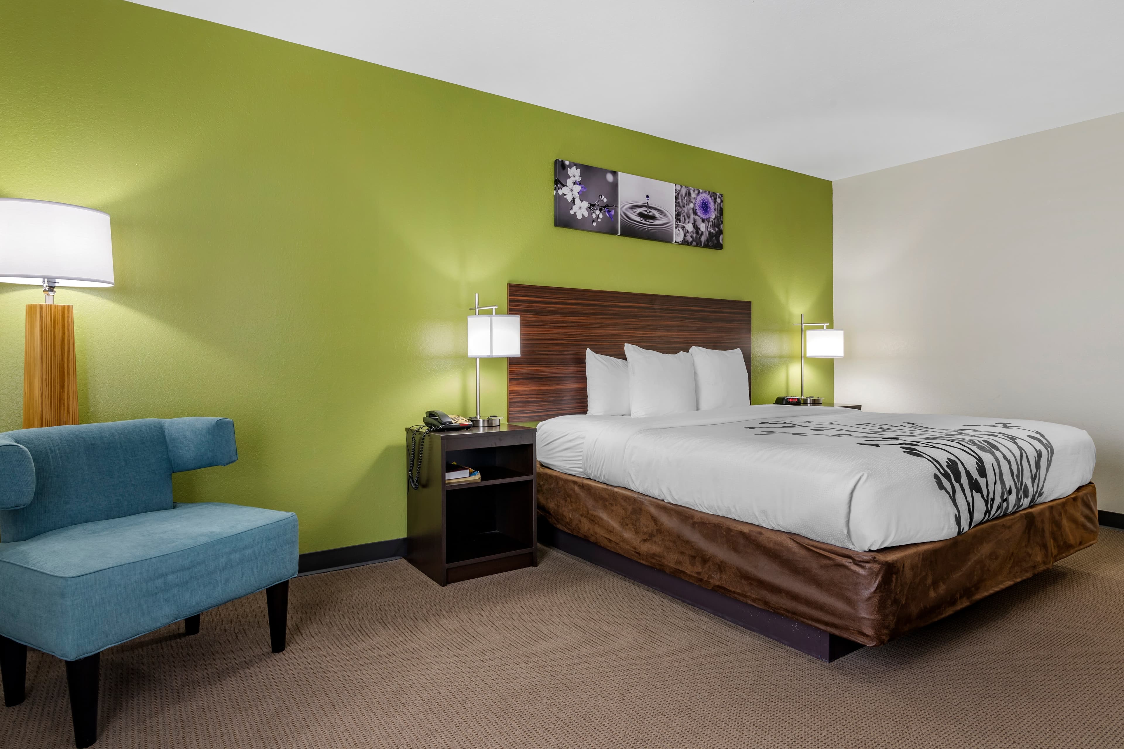 Sleep Inn & Suites Brunswick North - Image 3
