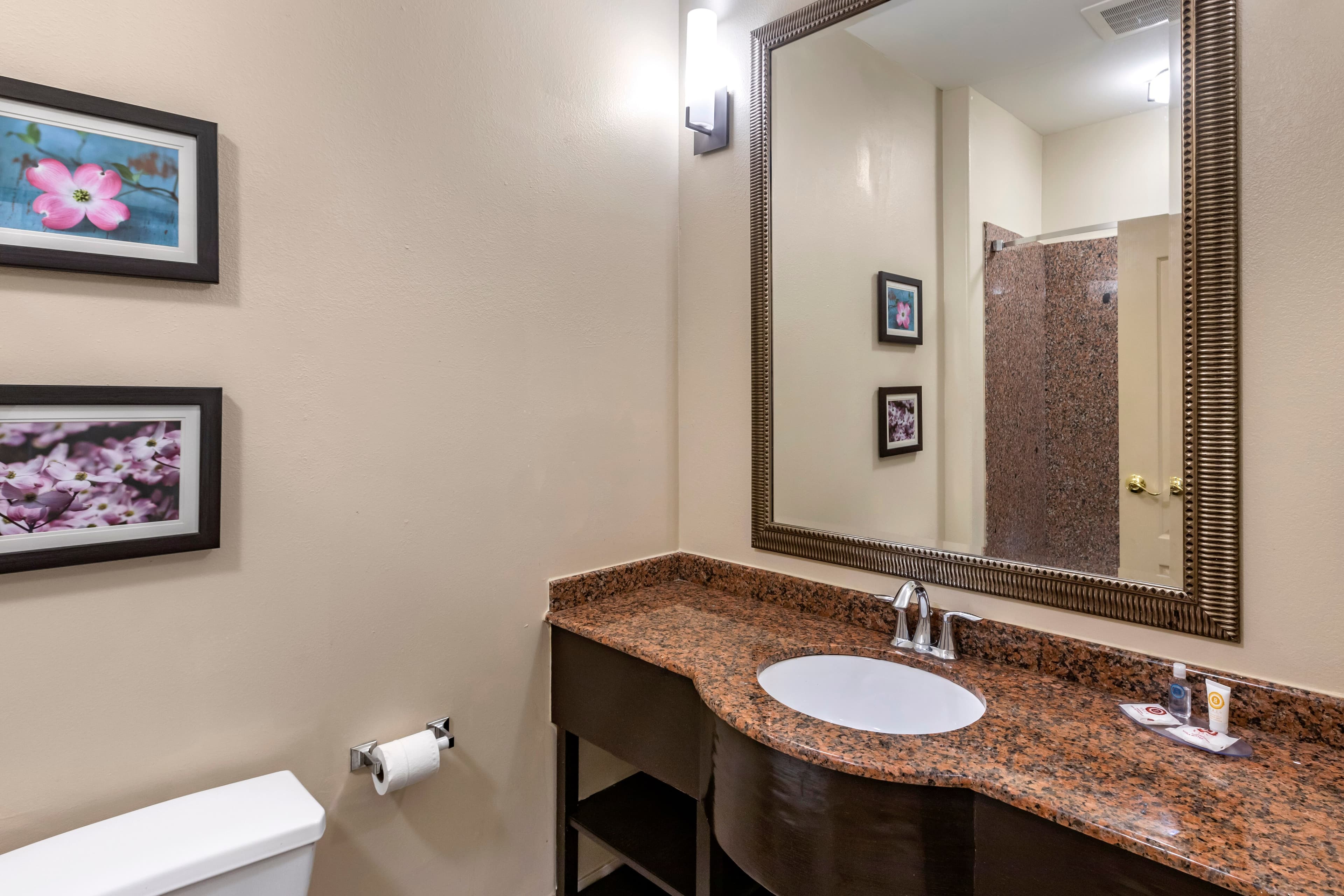 Comfort Inn & Suites Villa Rica — 16