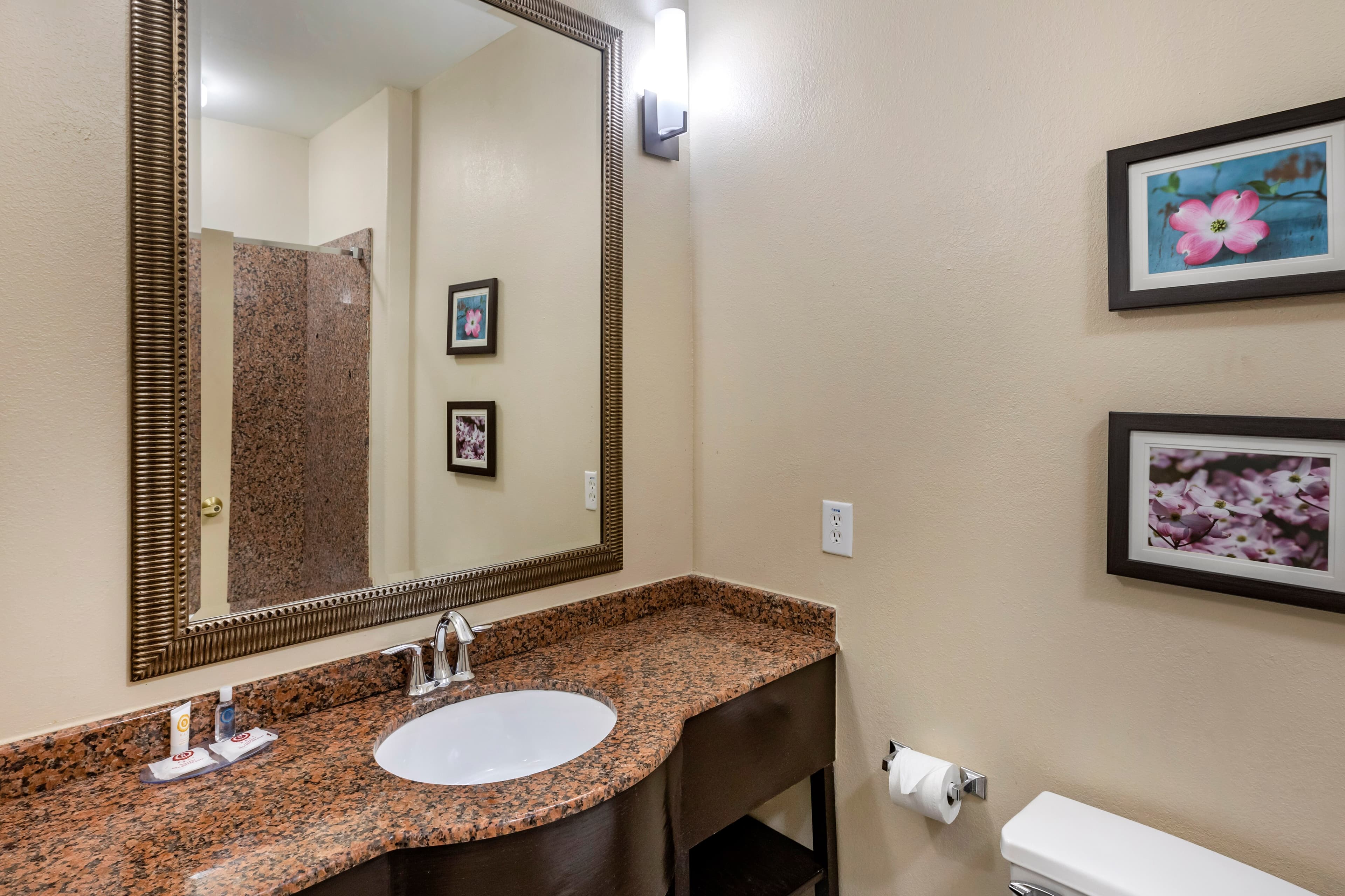Comfort Inn & Suites Villa Rica — 20
