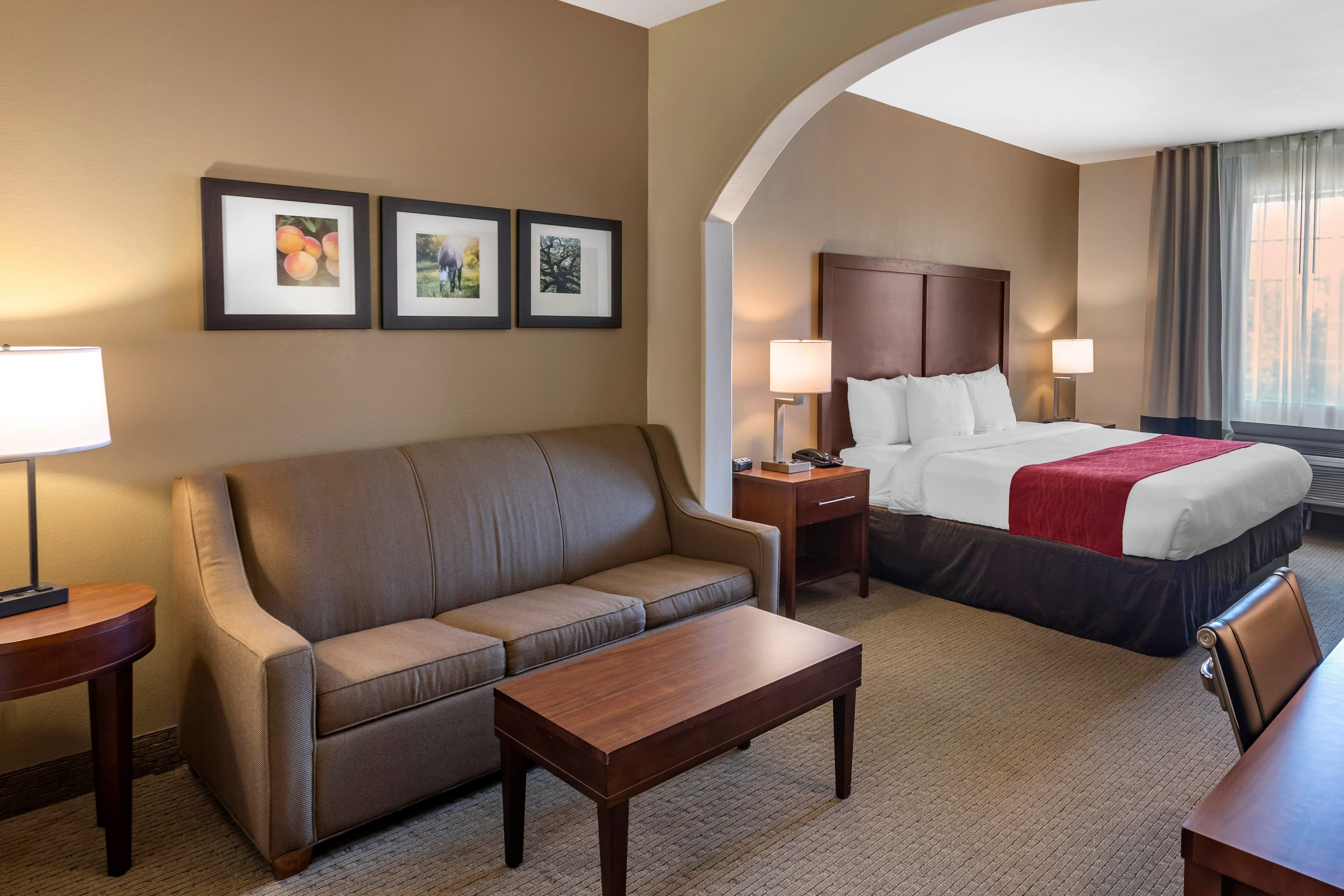 Comfort Inn & Suites Villa Rica — 27