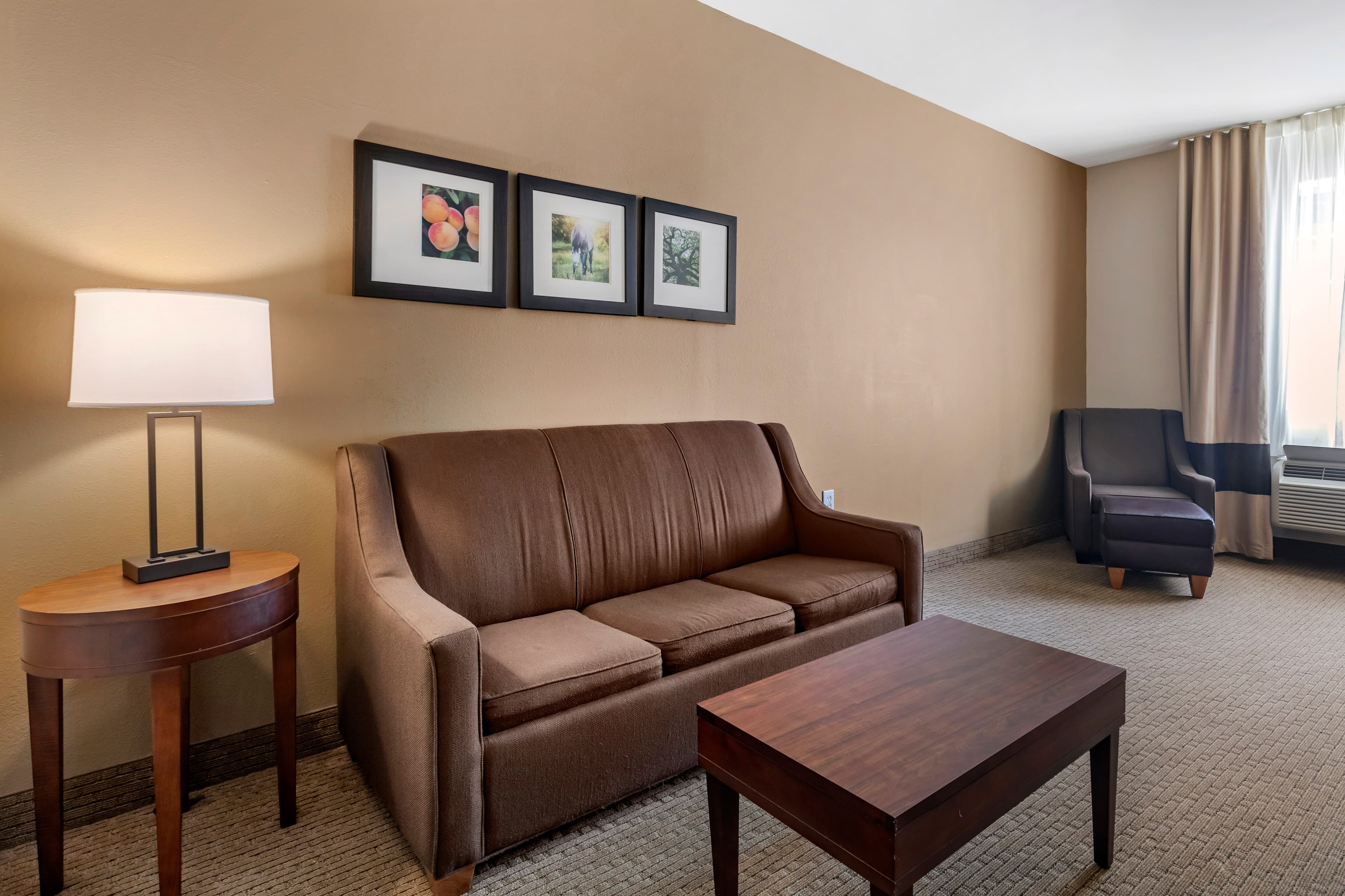 Comfort Inn & Suites Villa Rica — 33
