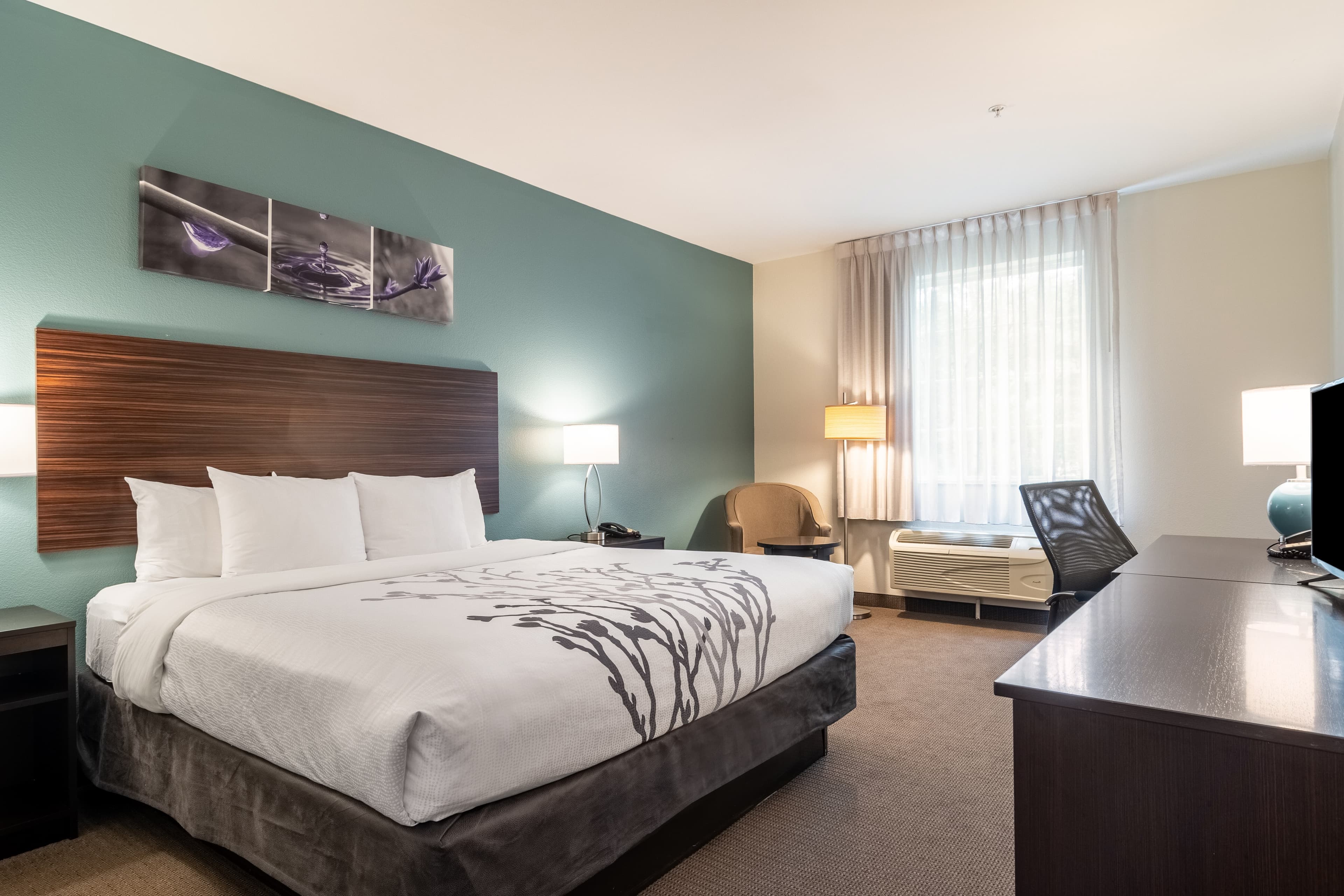 Sleep Inn & Suites At Kennesaw State University - Image 2