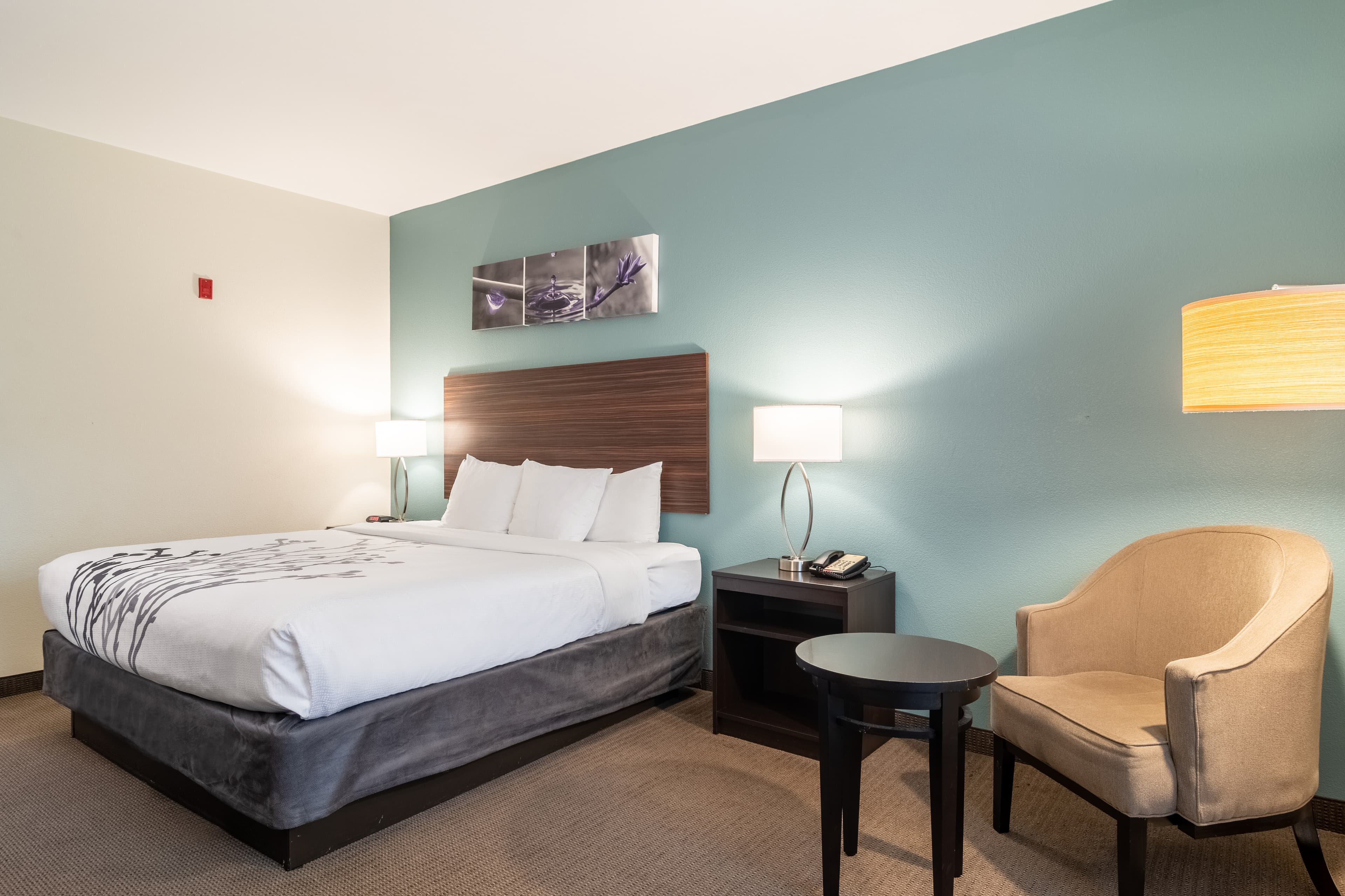 Sleep Inn & Suites At Kennesaw State University - Image 3