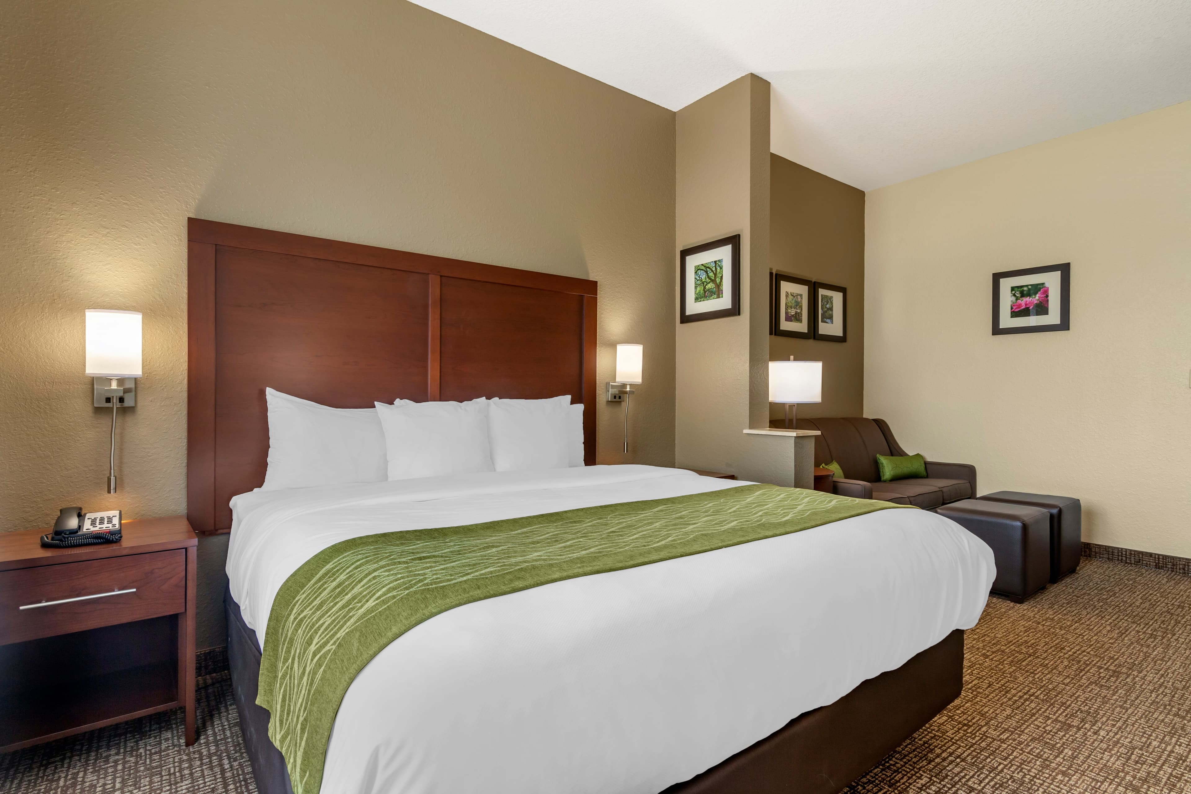 Comfort Inn Blackshear Hwy 84 - Image 2