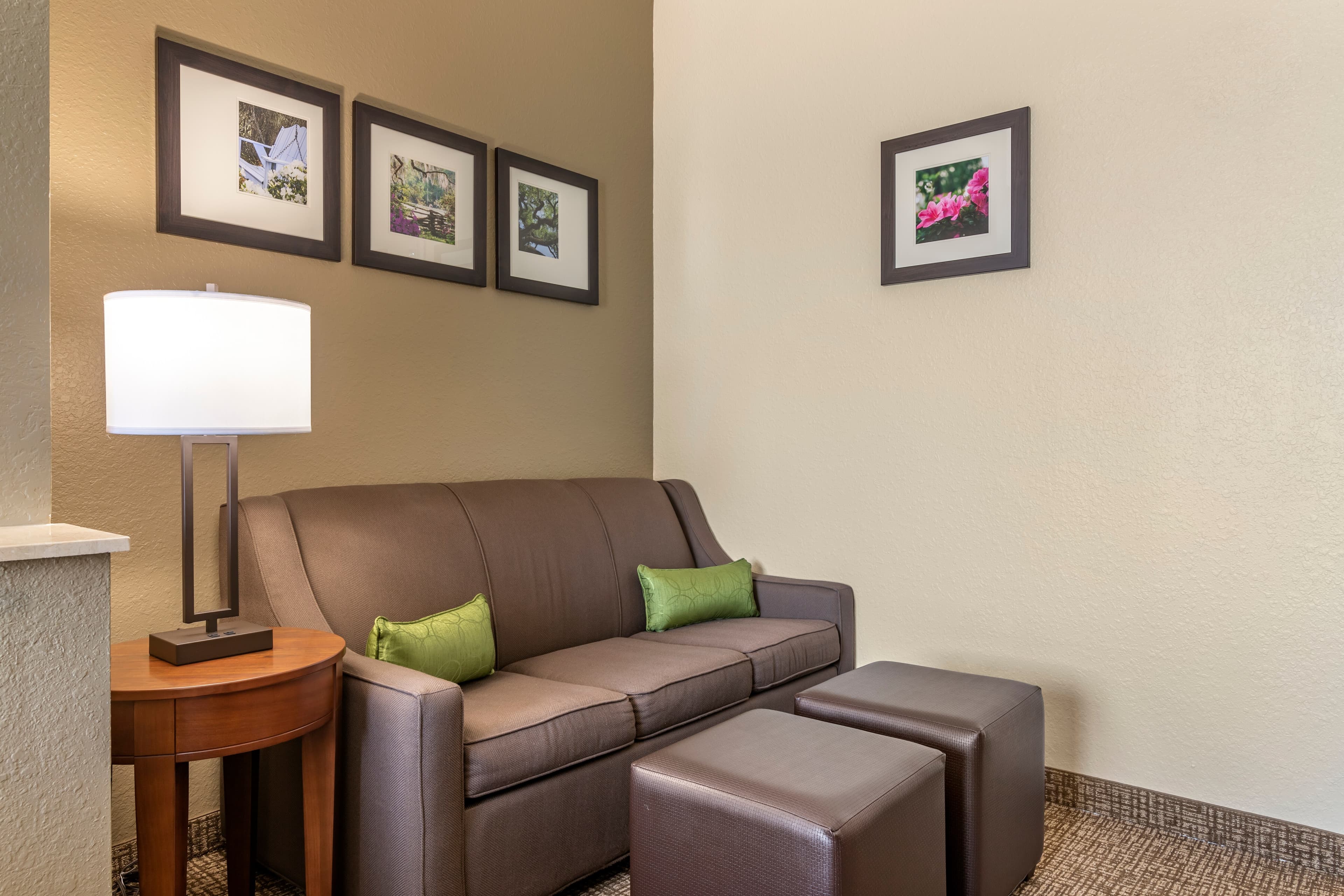 Comfort Inn Blackshear Hwy 84 - Image 3