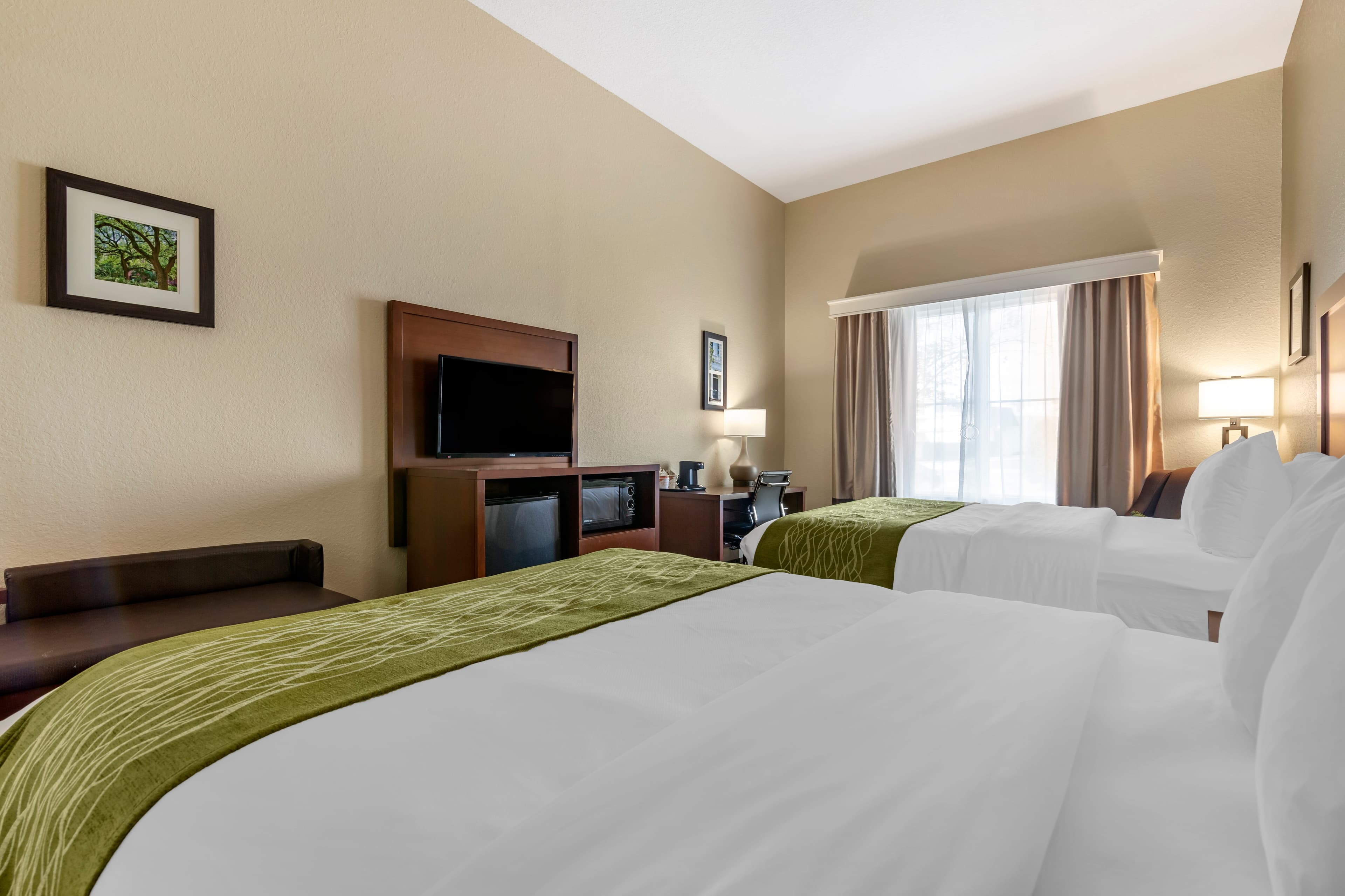 Comfort Inn Blackshear Hwy 84 — 8