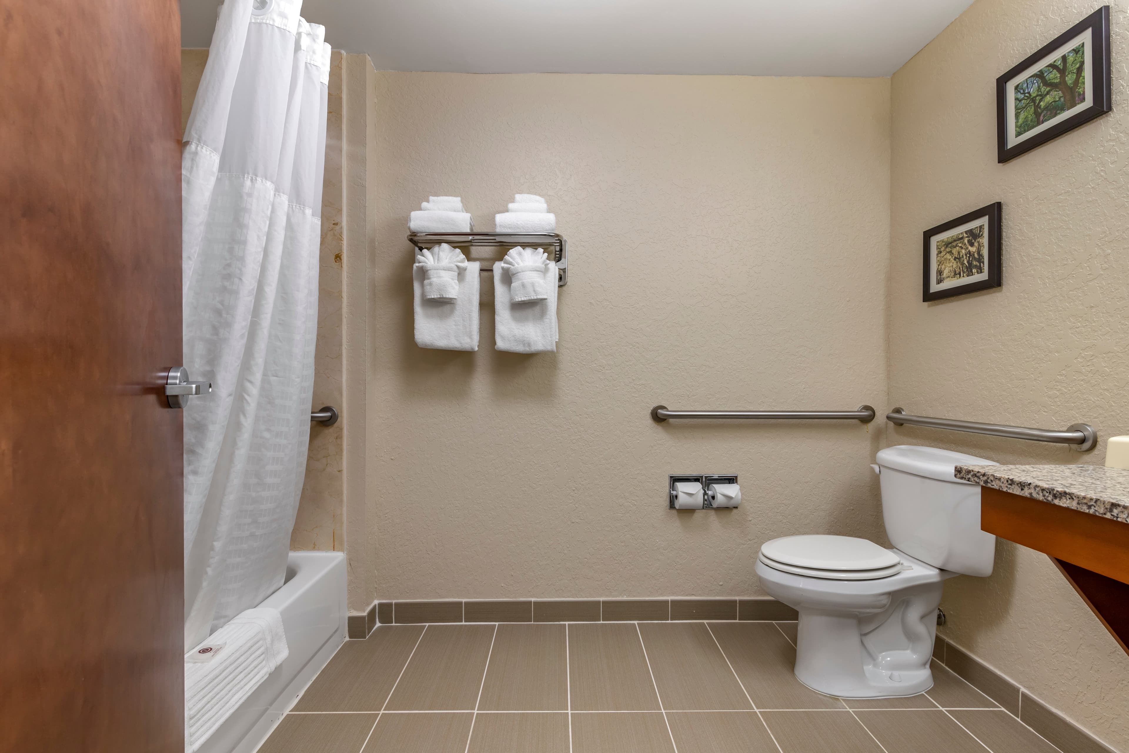 Comfort Inn Blackshear Hwy 84 — 9