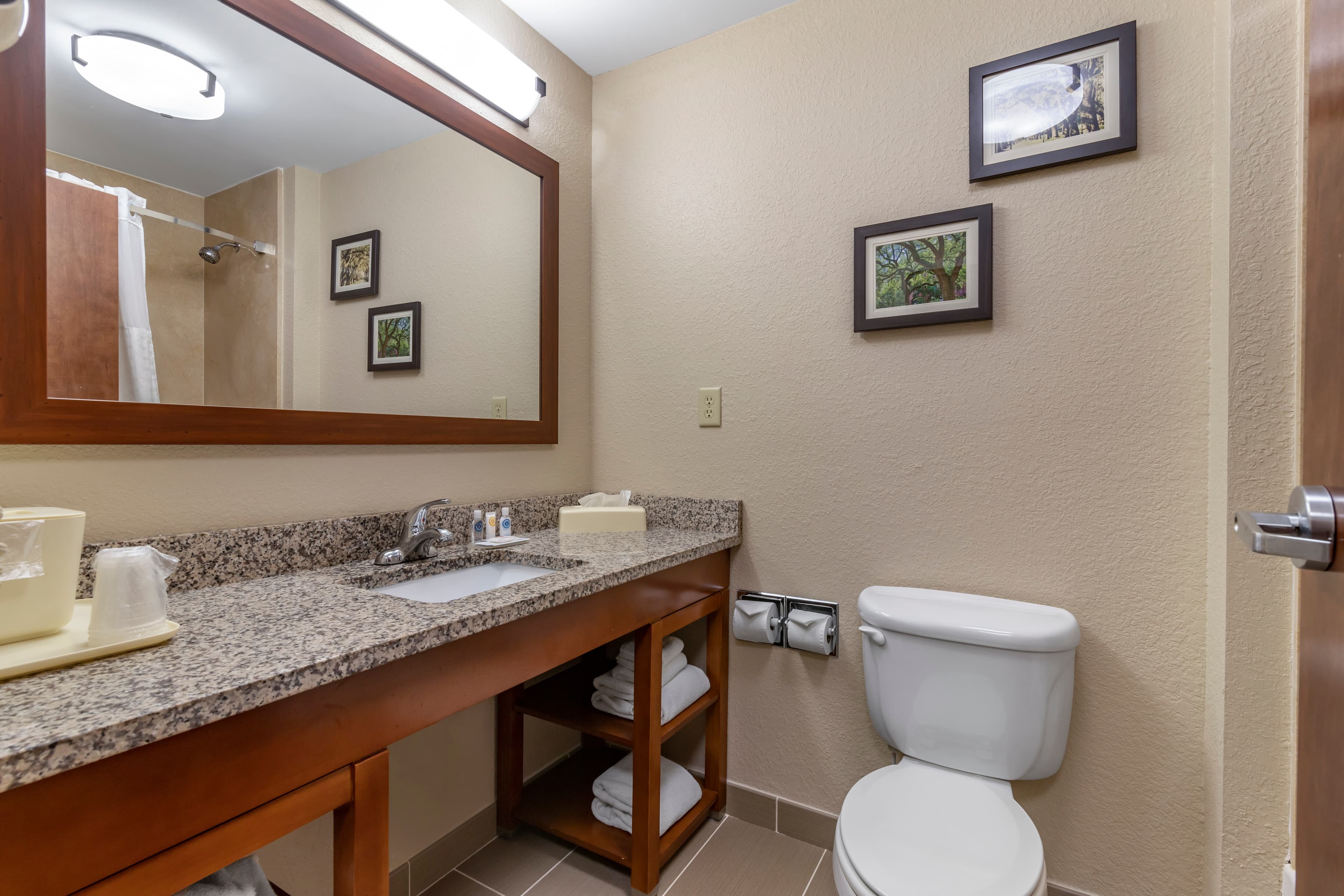 Comfort Inn Blackshear Hwy 84 — 13