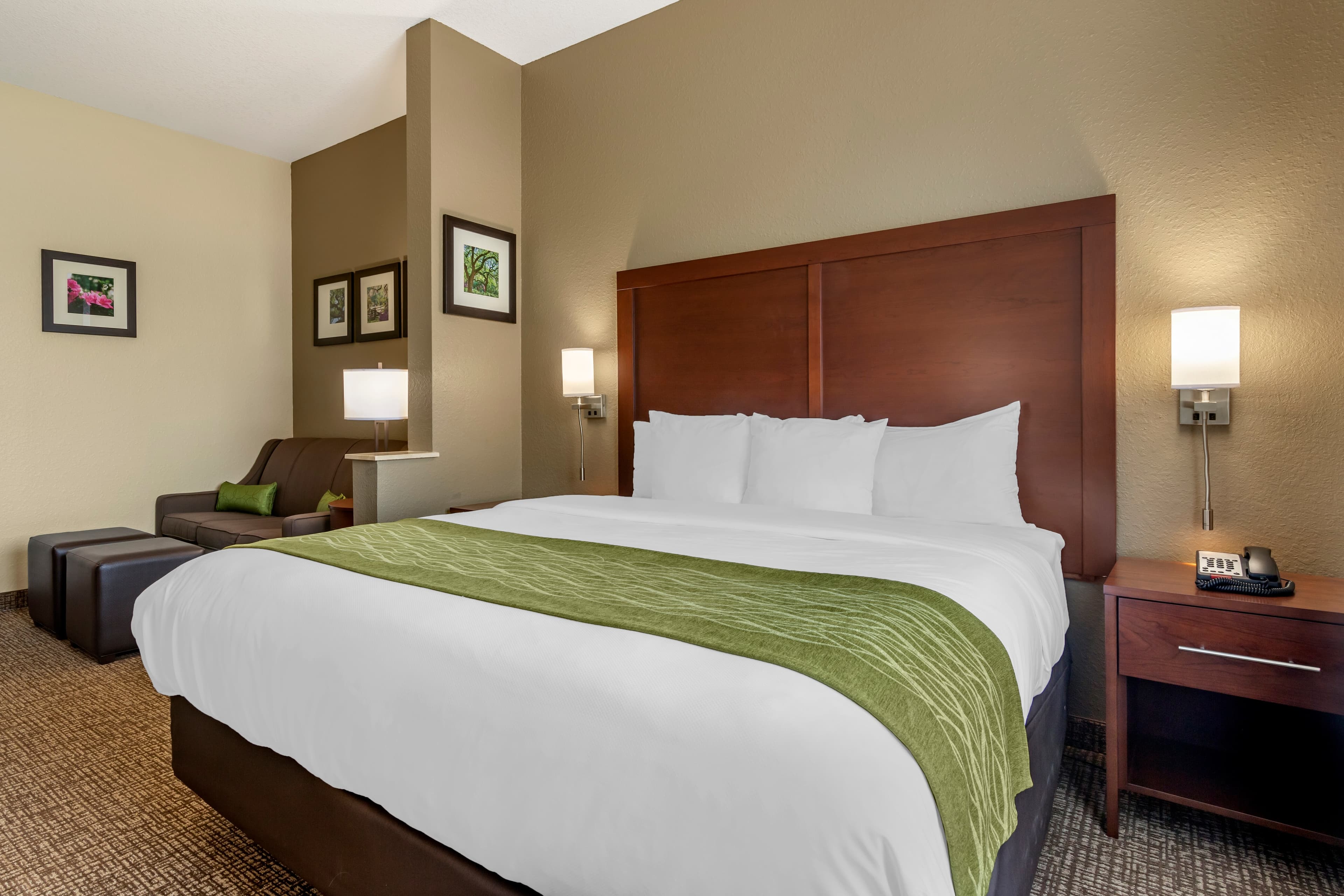 Comfort Inn Blackshear Hwy 84 — 15