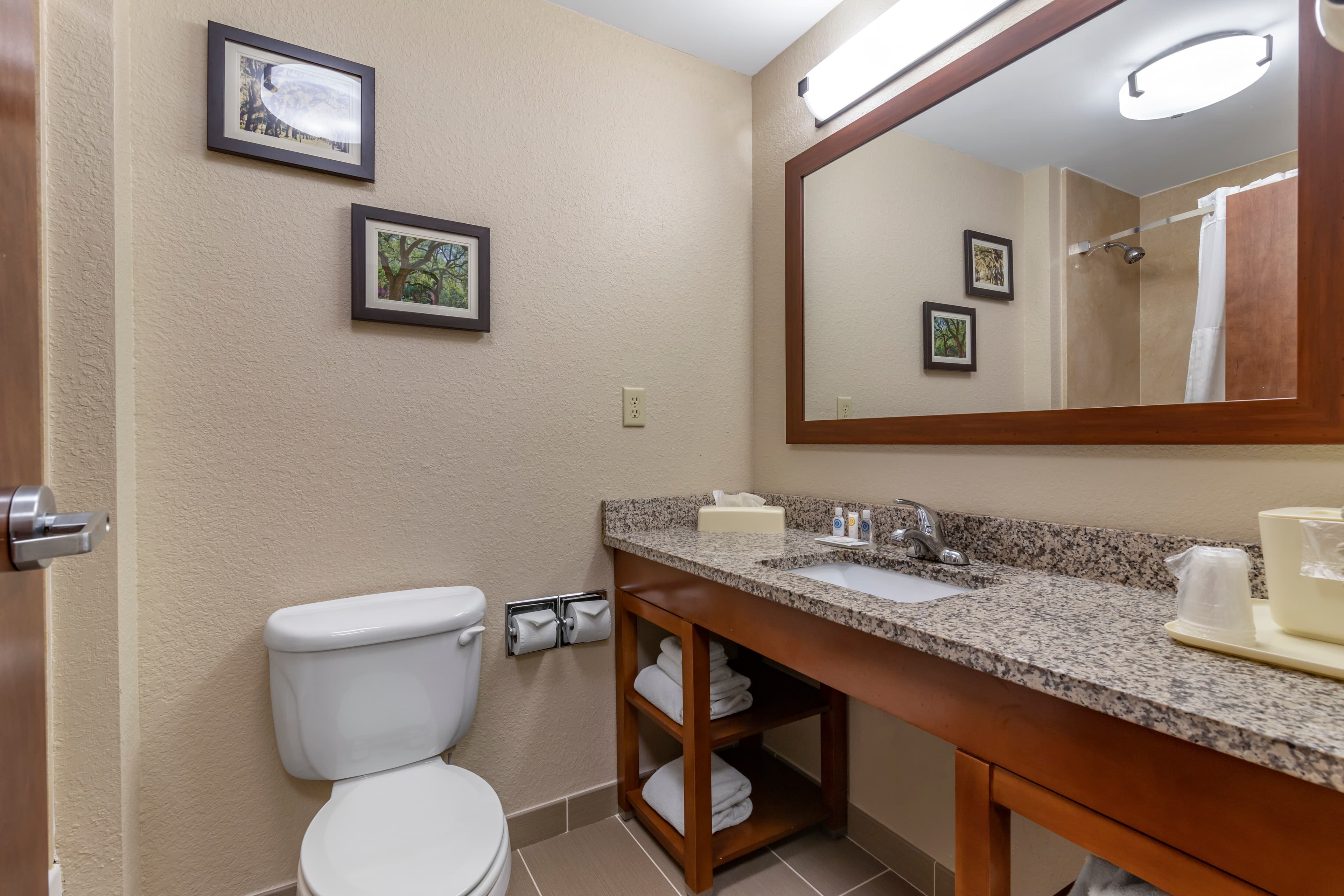 Comfort Inn Blackshear Hwy 84 — 21