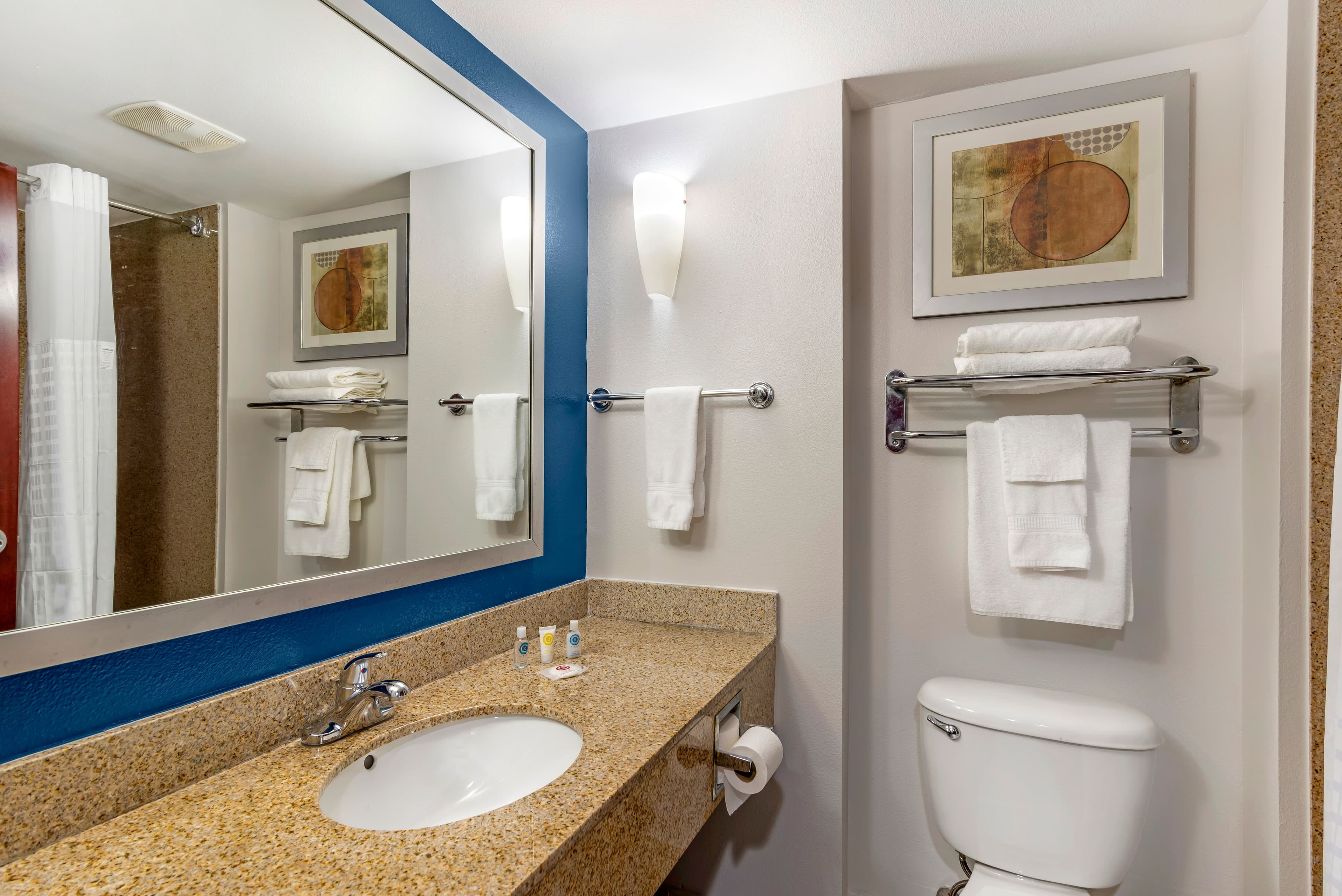 Comfort Suites Atlanta Airport — 14