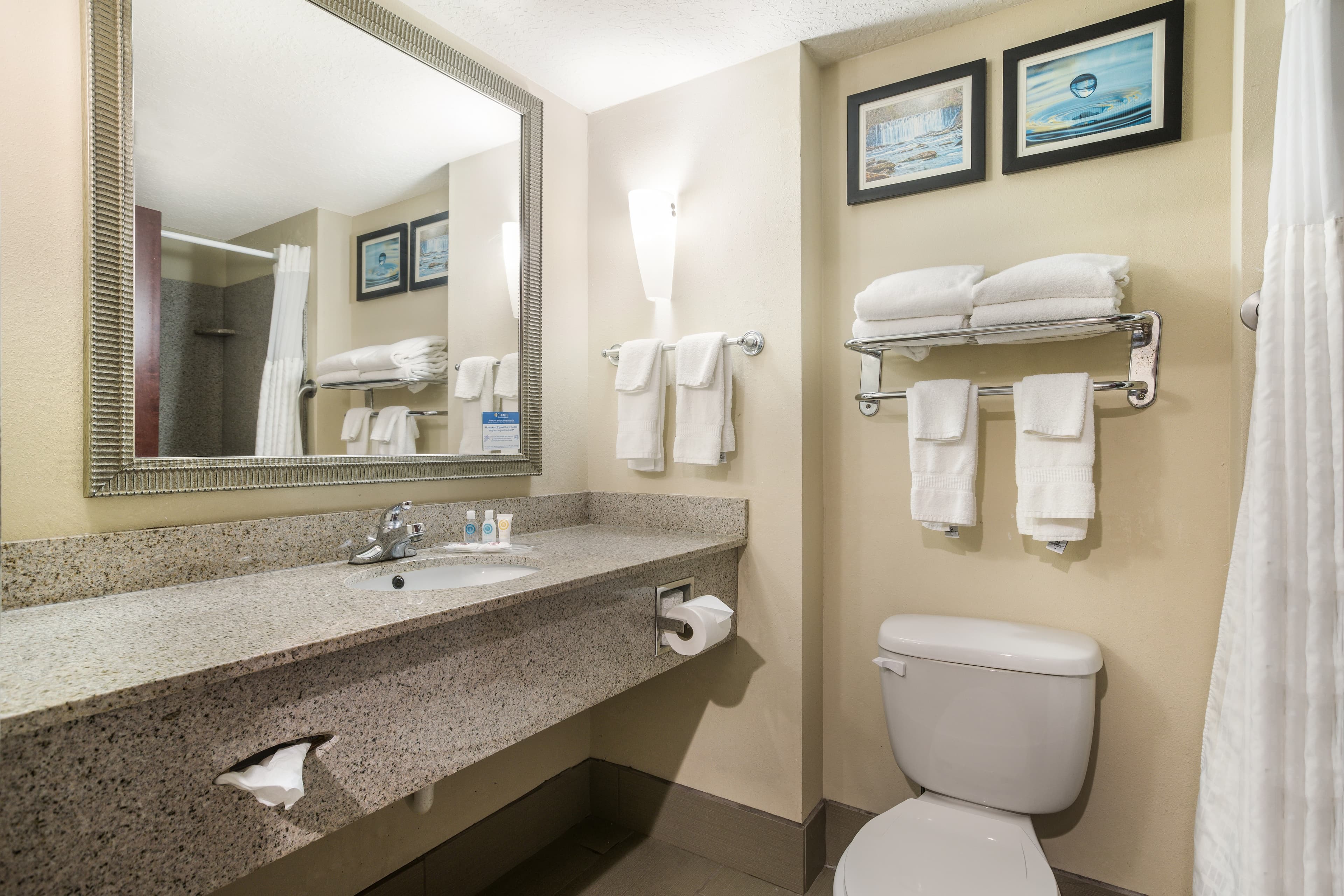 Comfort Suites Forsyth near I-75 — 15