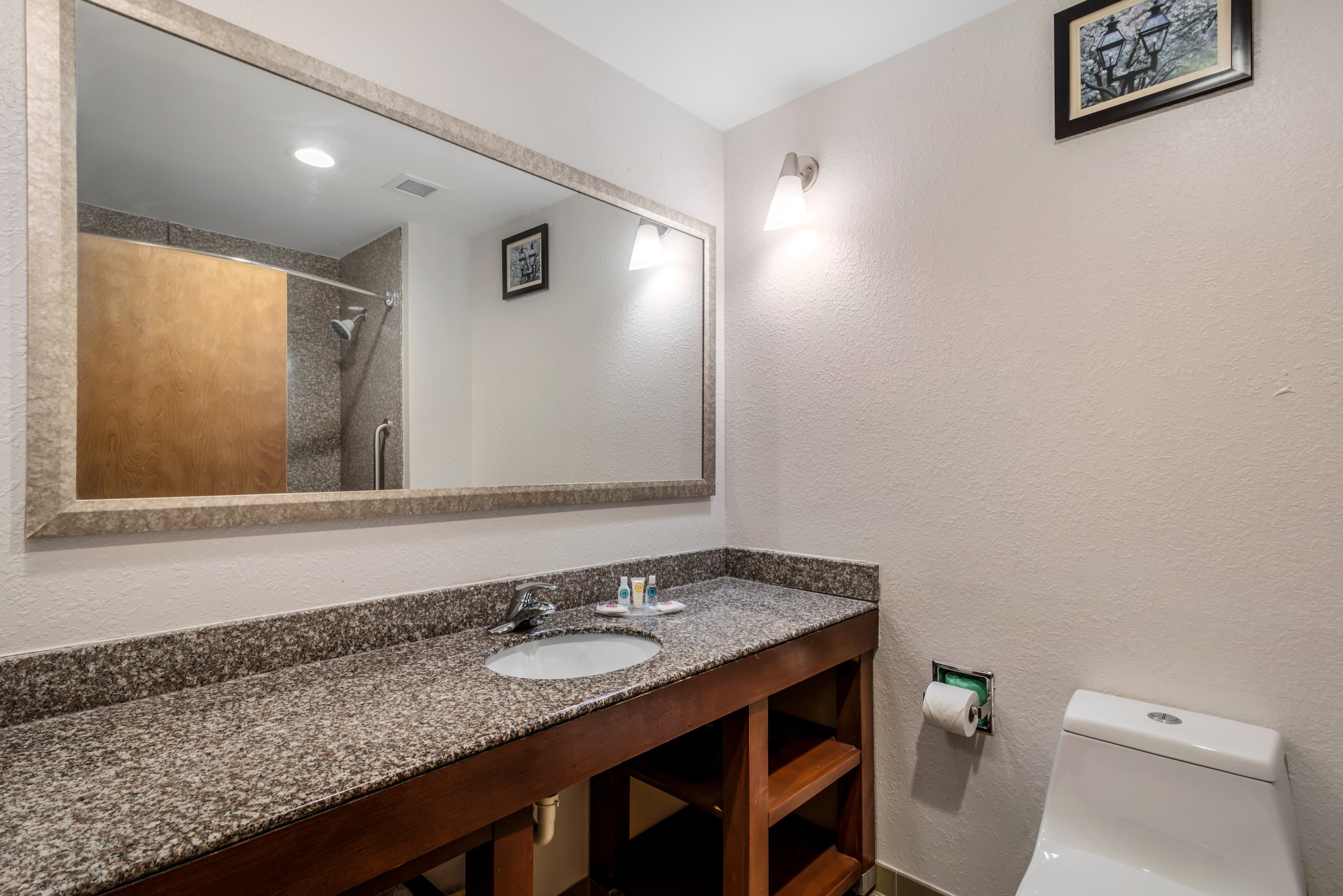 Comfort Suites Macon Northwest — 7