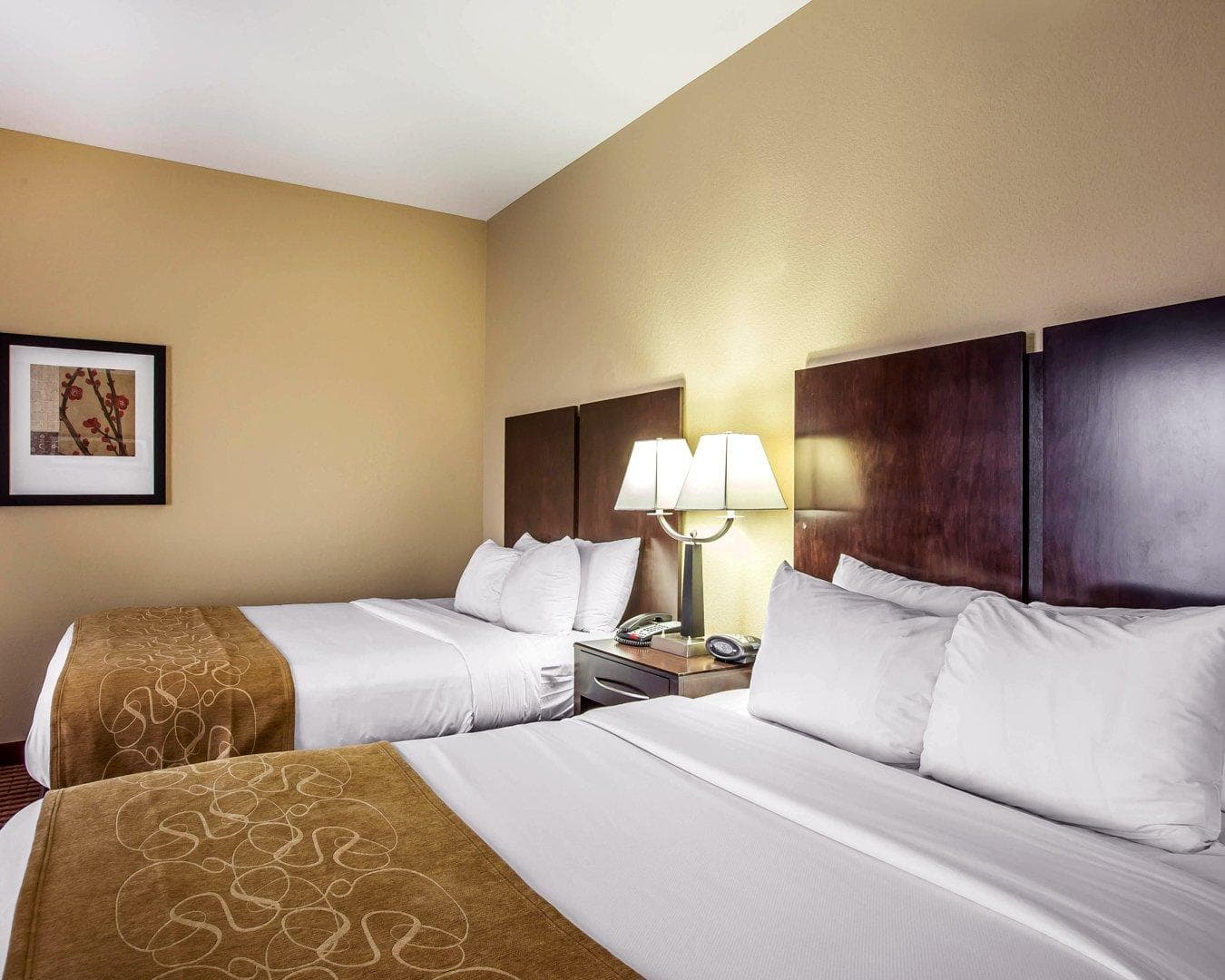 Comfort Suites Waycross - Image 5