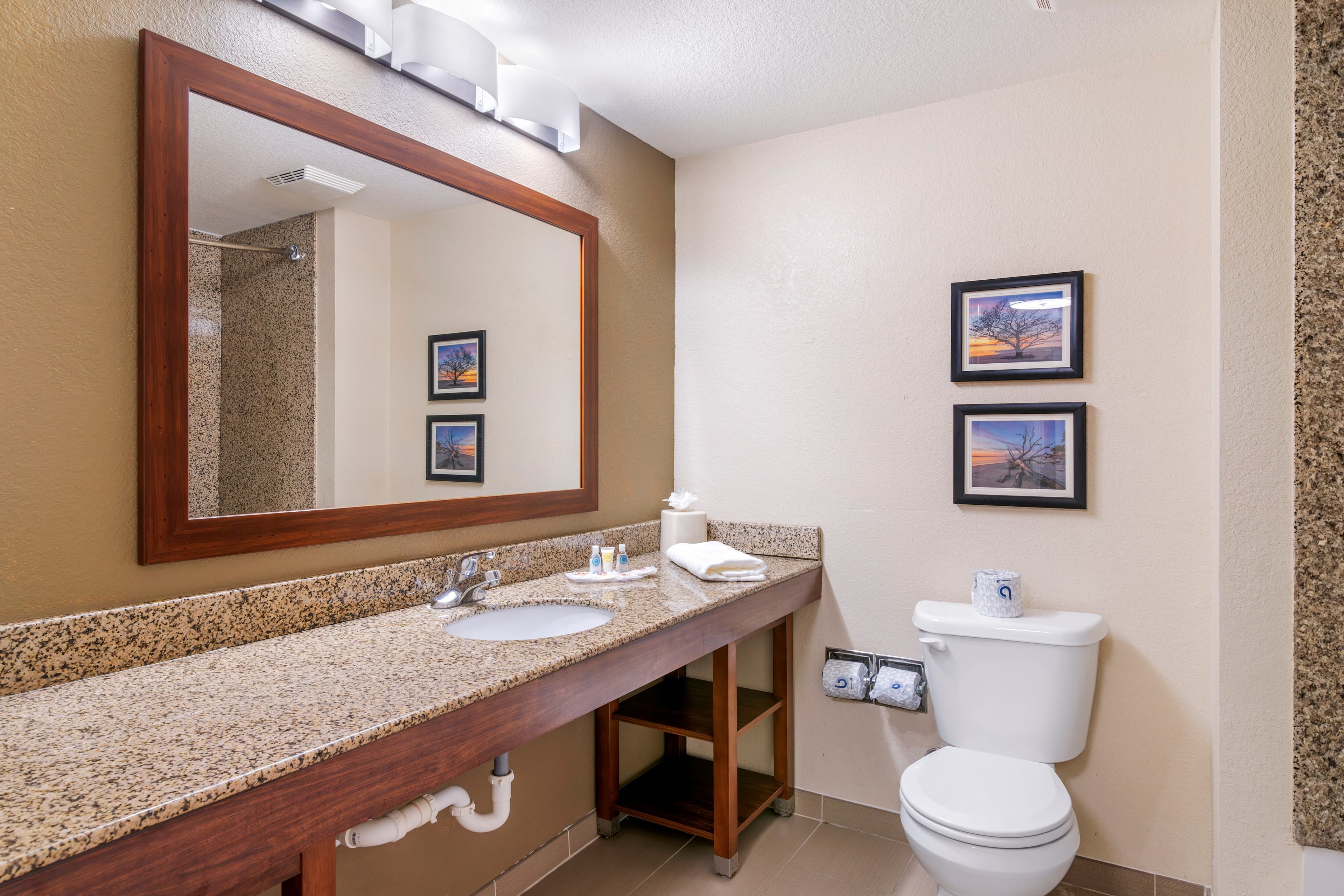 Comfort Suites Brunswick — 17