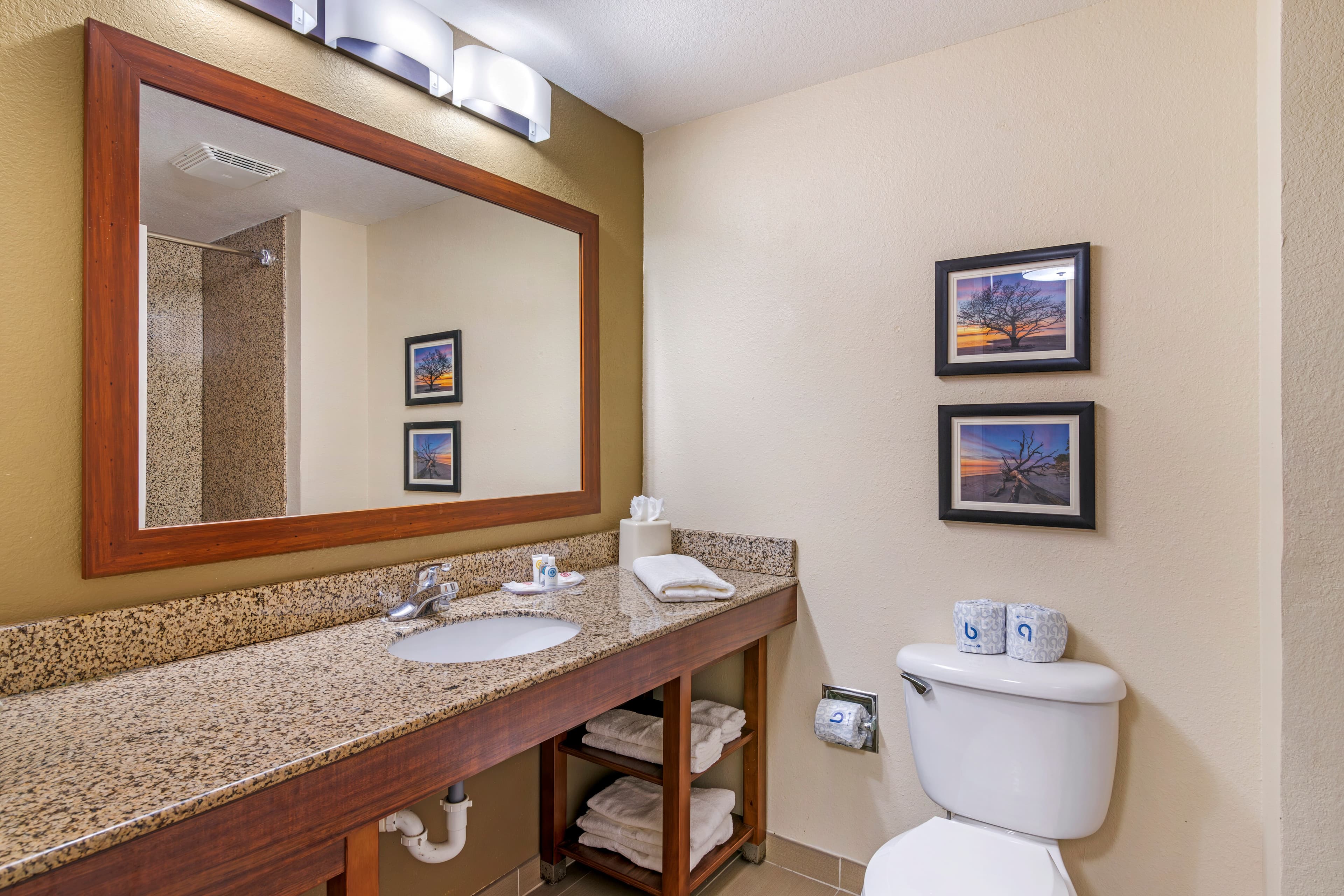 Comfort Suites Brunswick — 13