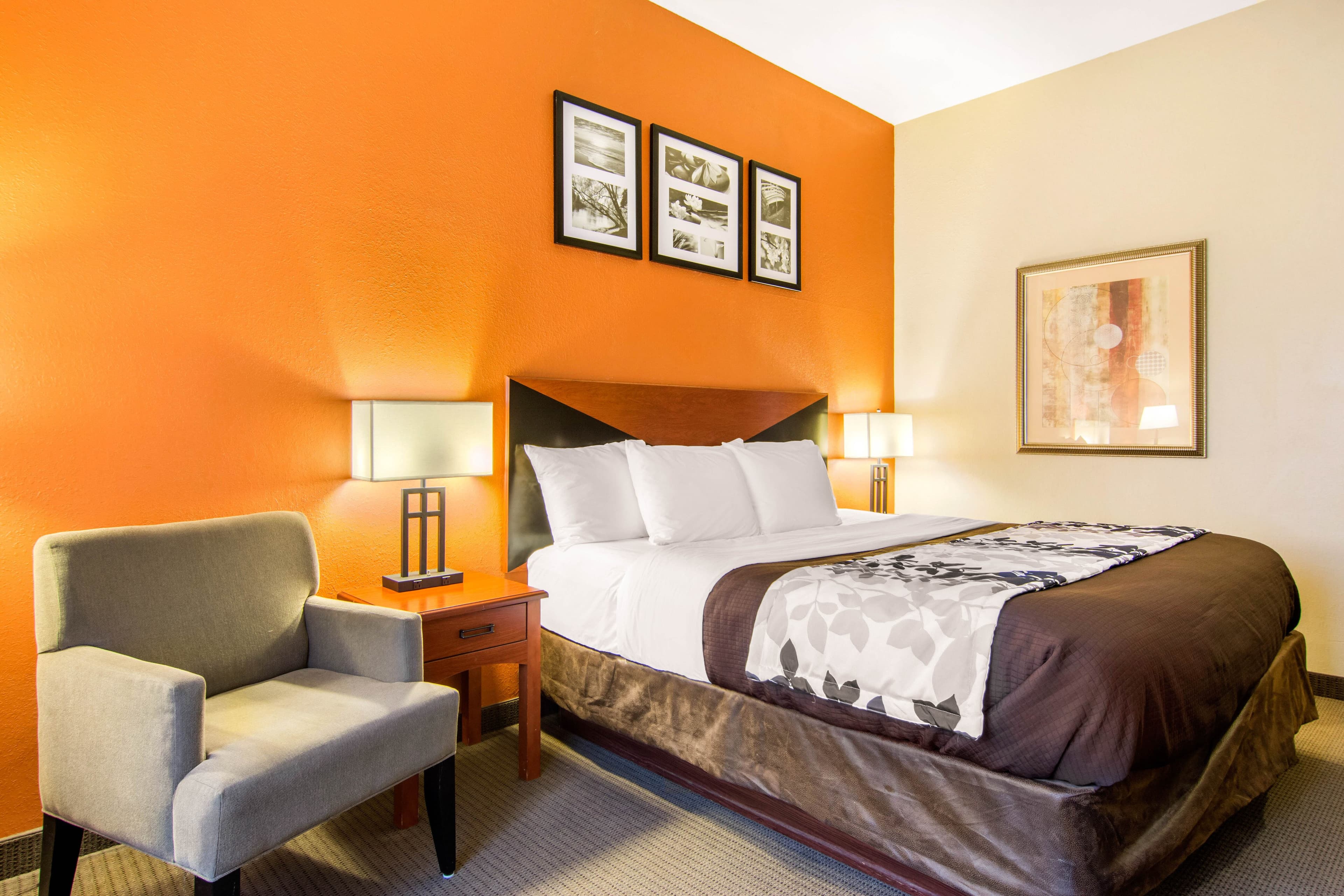 Sleep Inn & Suites Athens South - Image 3
