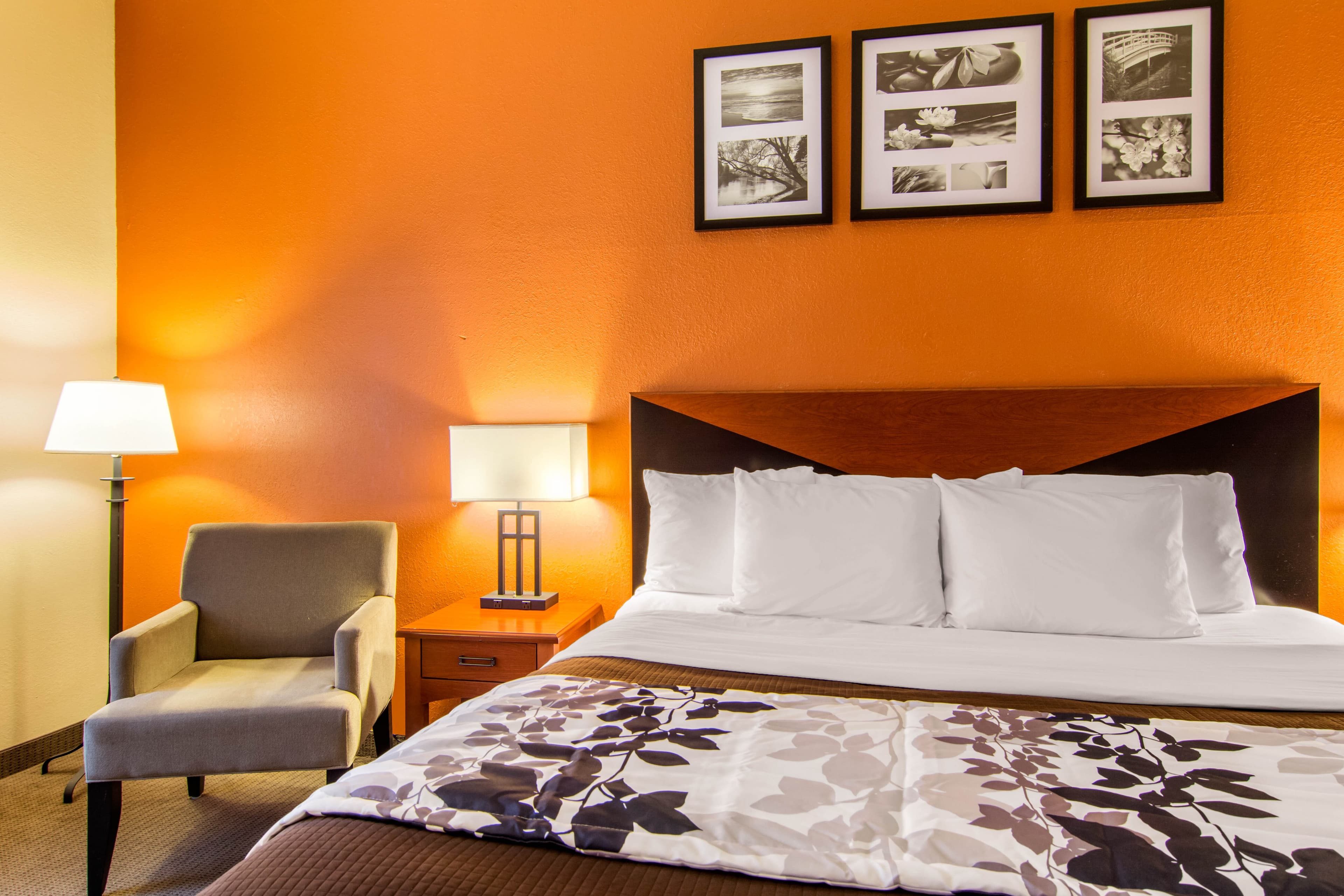 Sleep Inn & Suites Athens South - Image 5