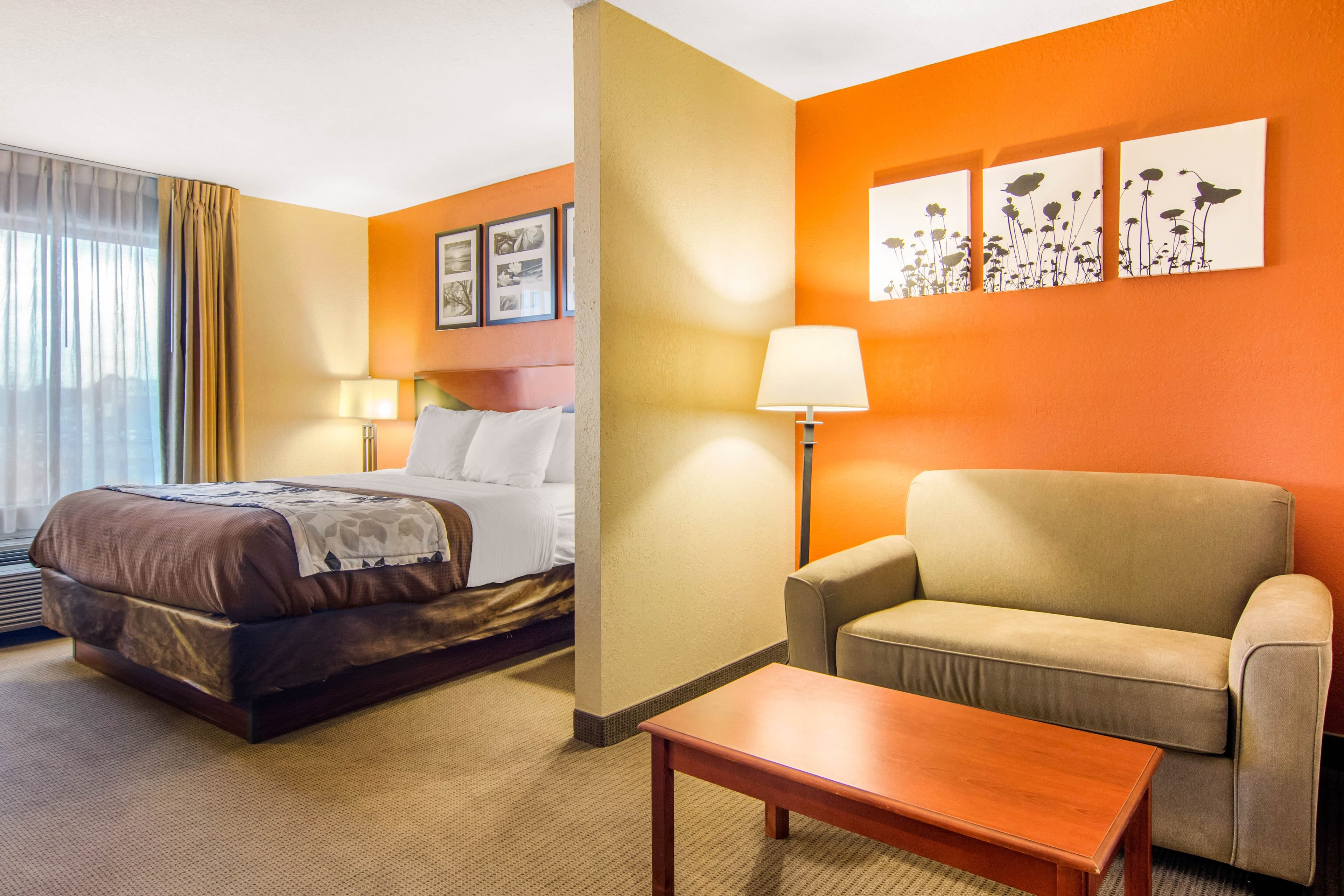Sleep Inn & Suites Athens South — 17