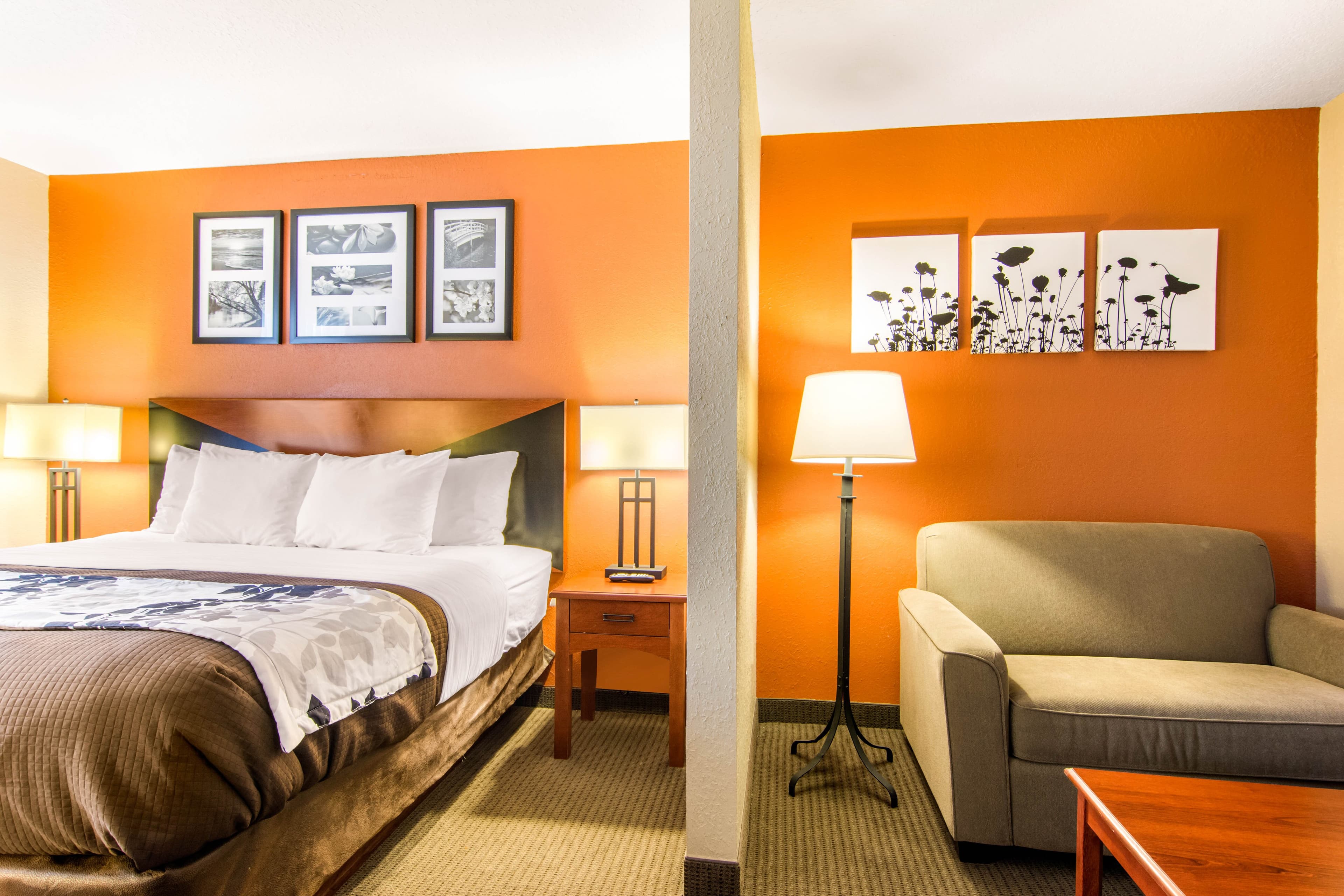 Sleep Inn & Suites Athens South — 20