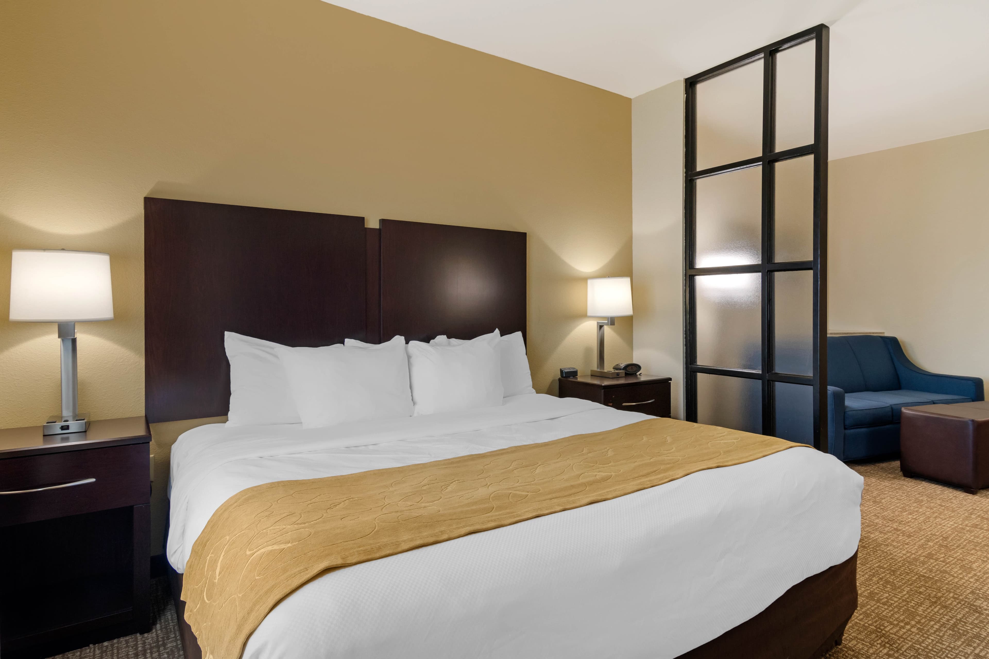 Comfort Suites Byron Warner Robins — 9