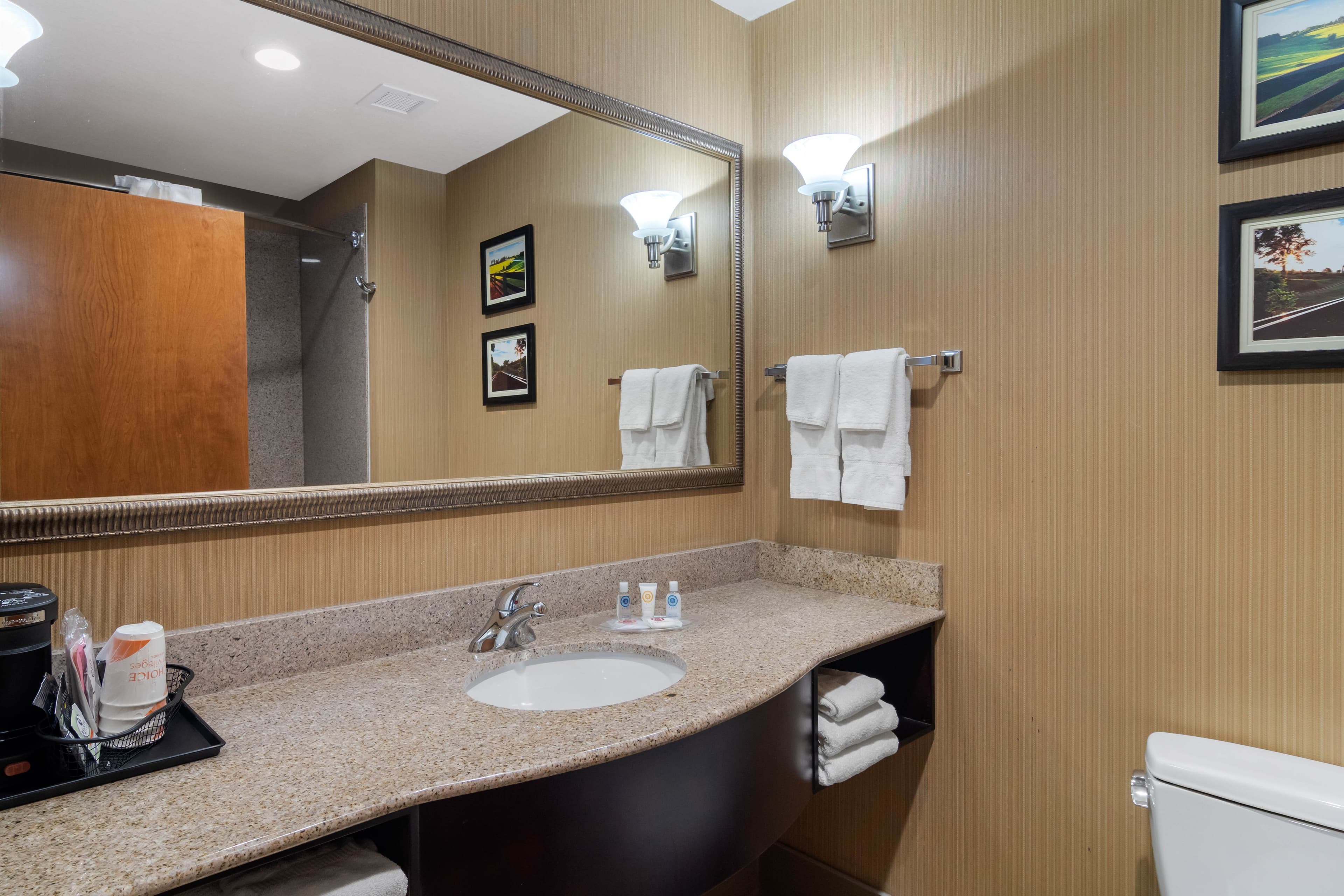 Comfort Suites Byron Warner Robins — 16