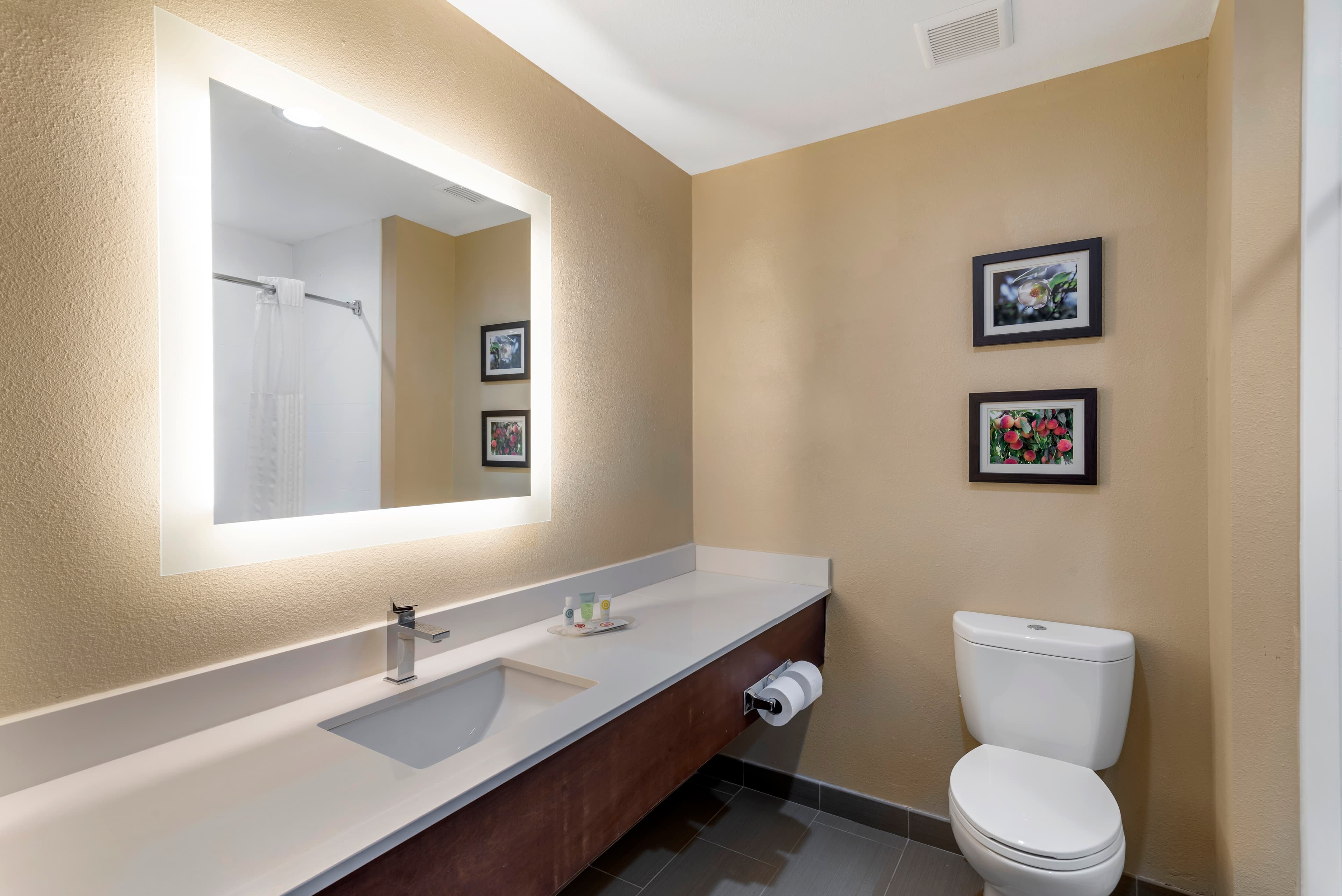 Comfort Suites Locust Grove Atlanta South - Image 5