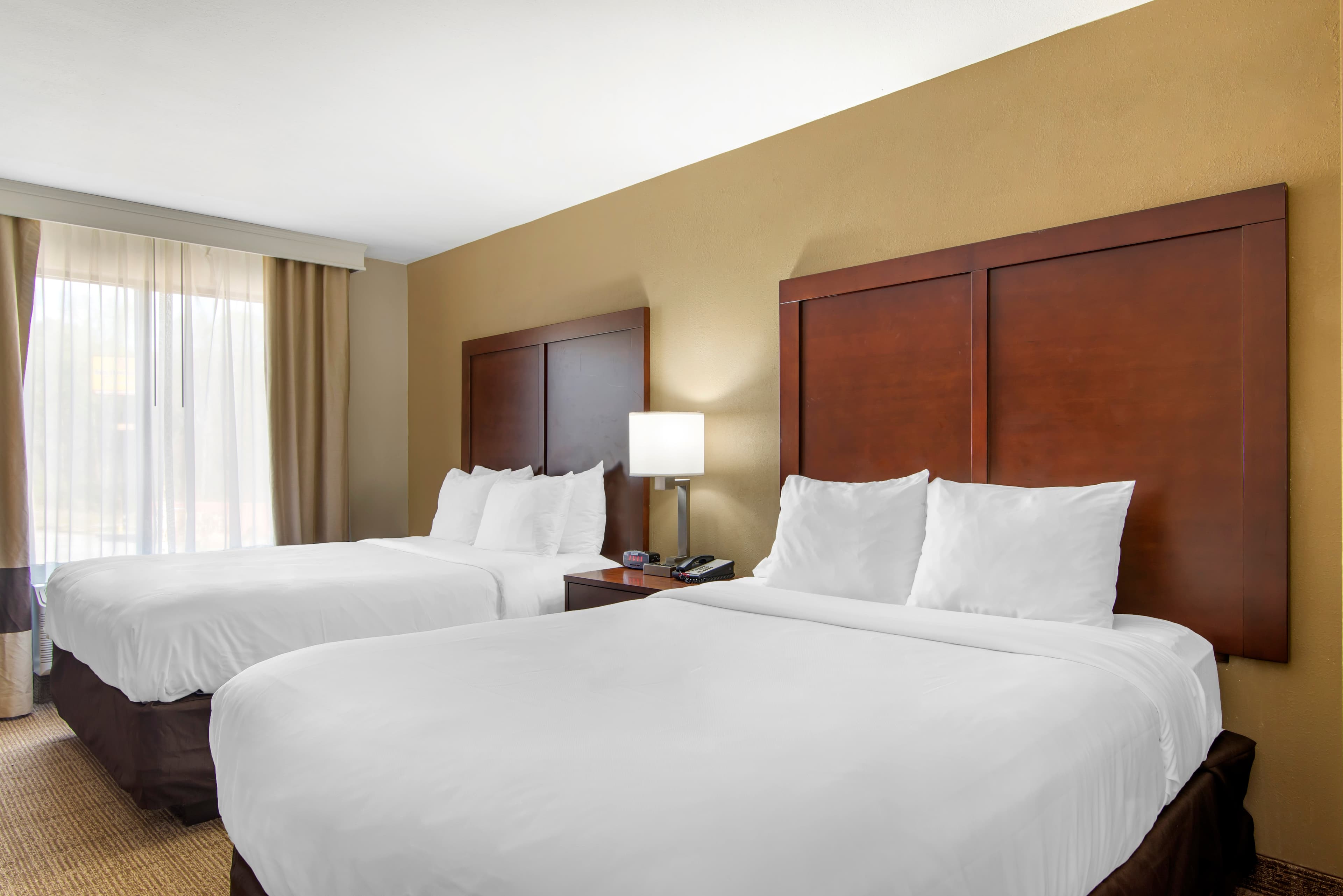 Comfort Suites Locust Grove Atlanta South — 10