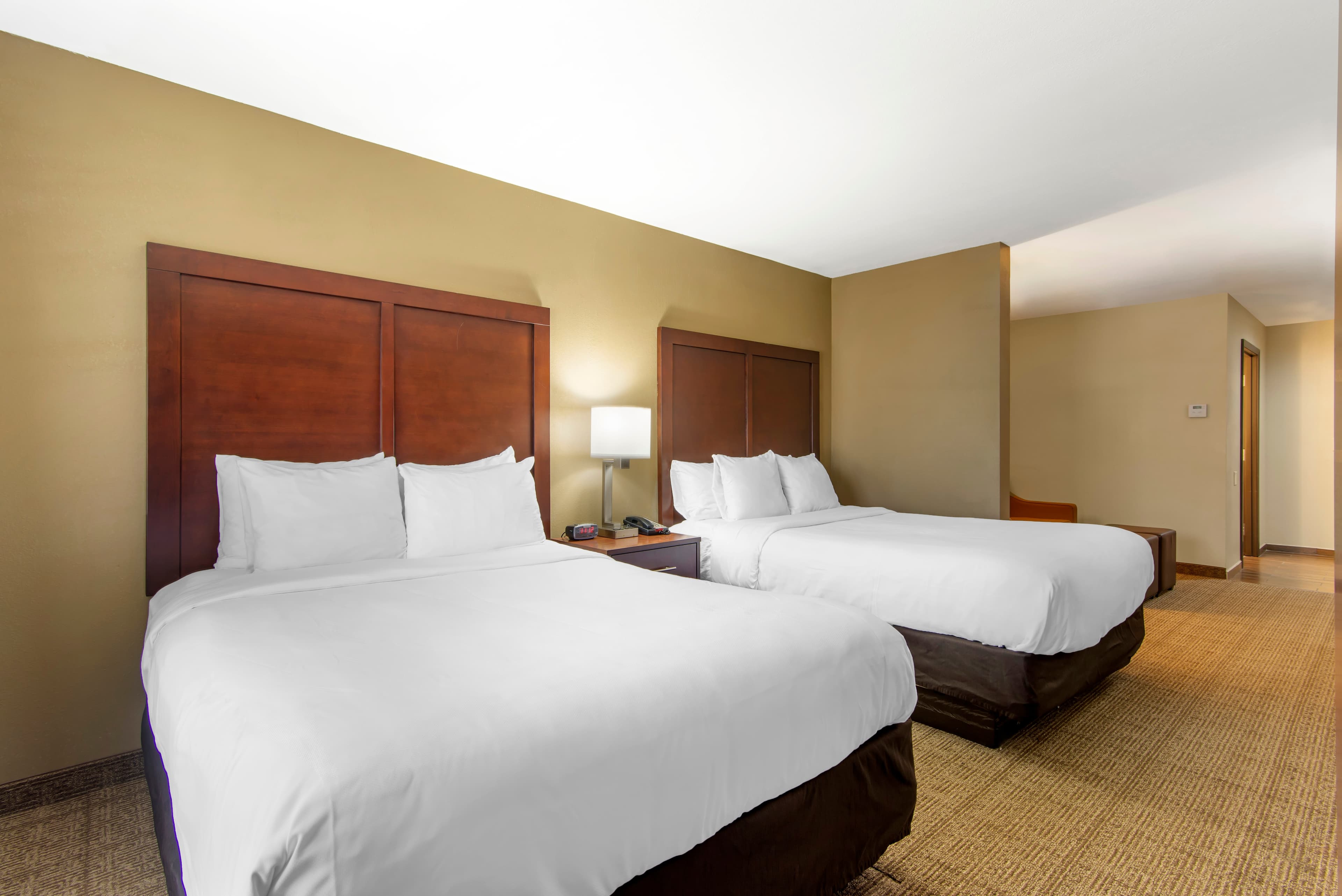 Comfort Suites Locust Grove Atlanta South — 11