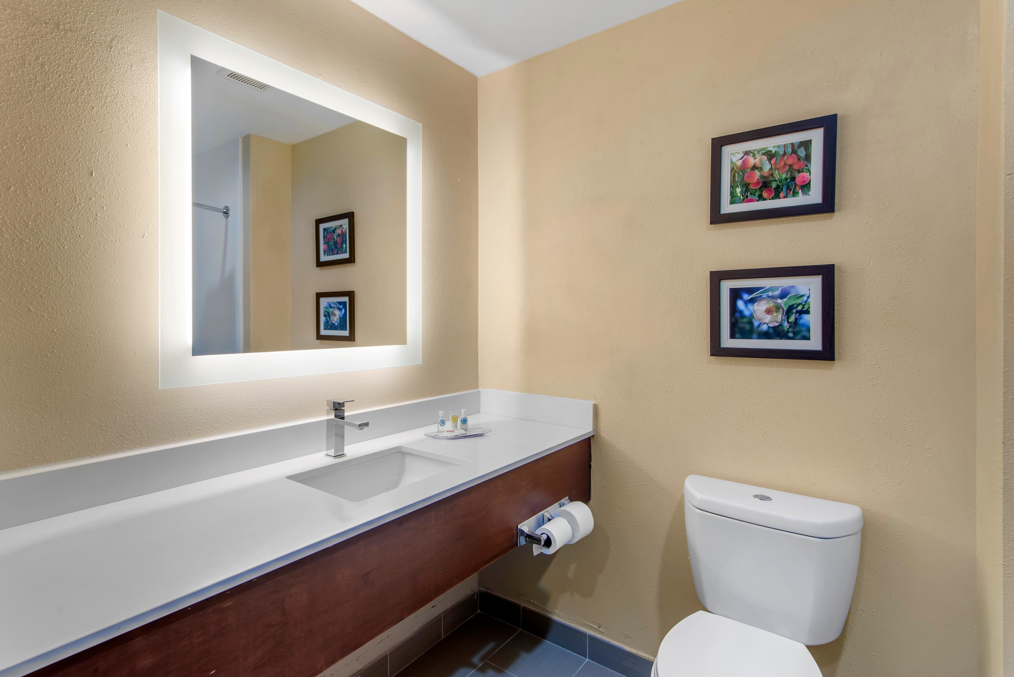 Comfort Suites Locust Grove Atlanta South — 13