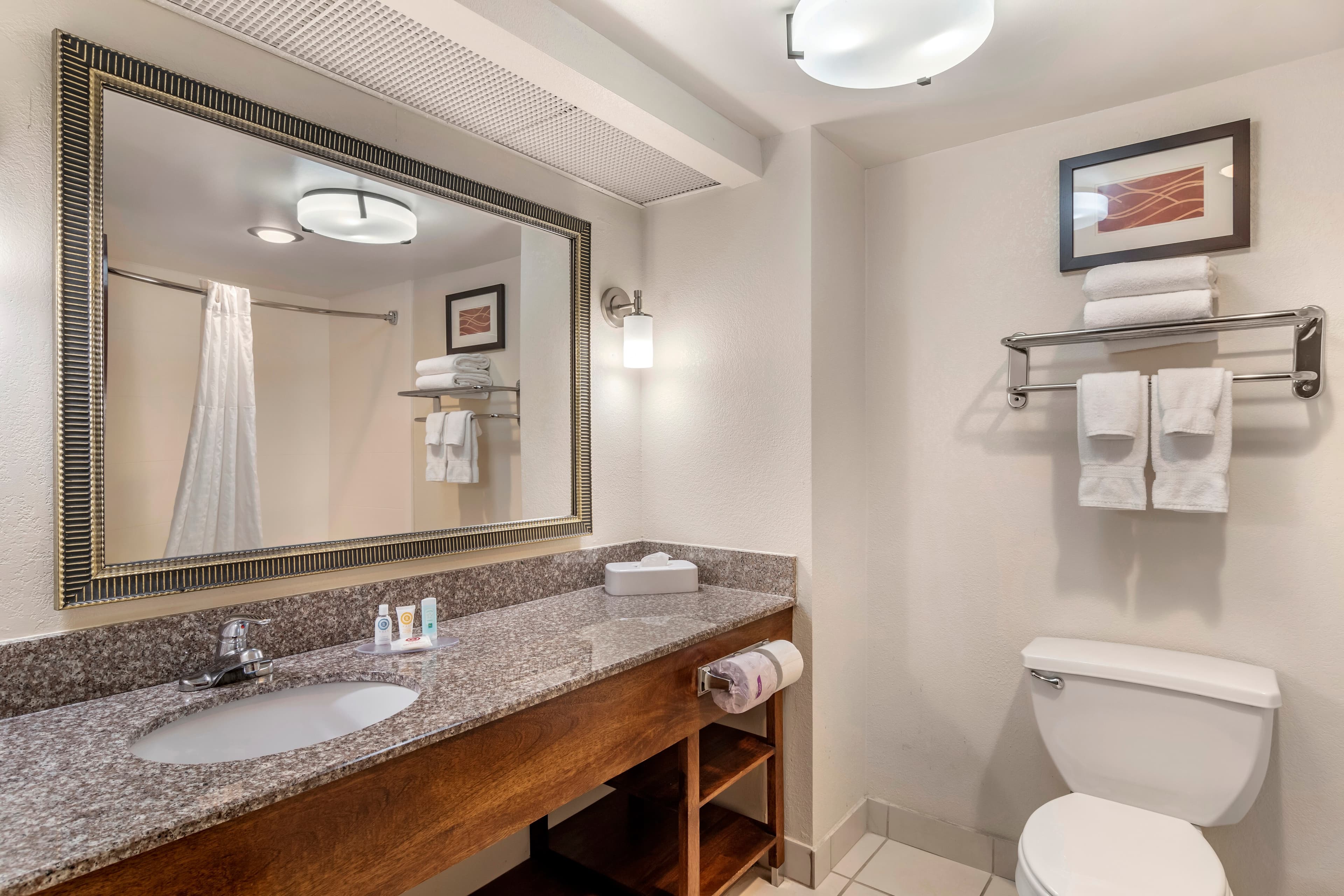 Comfort Inn & Suites Athens North — 20