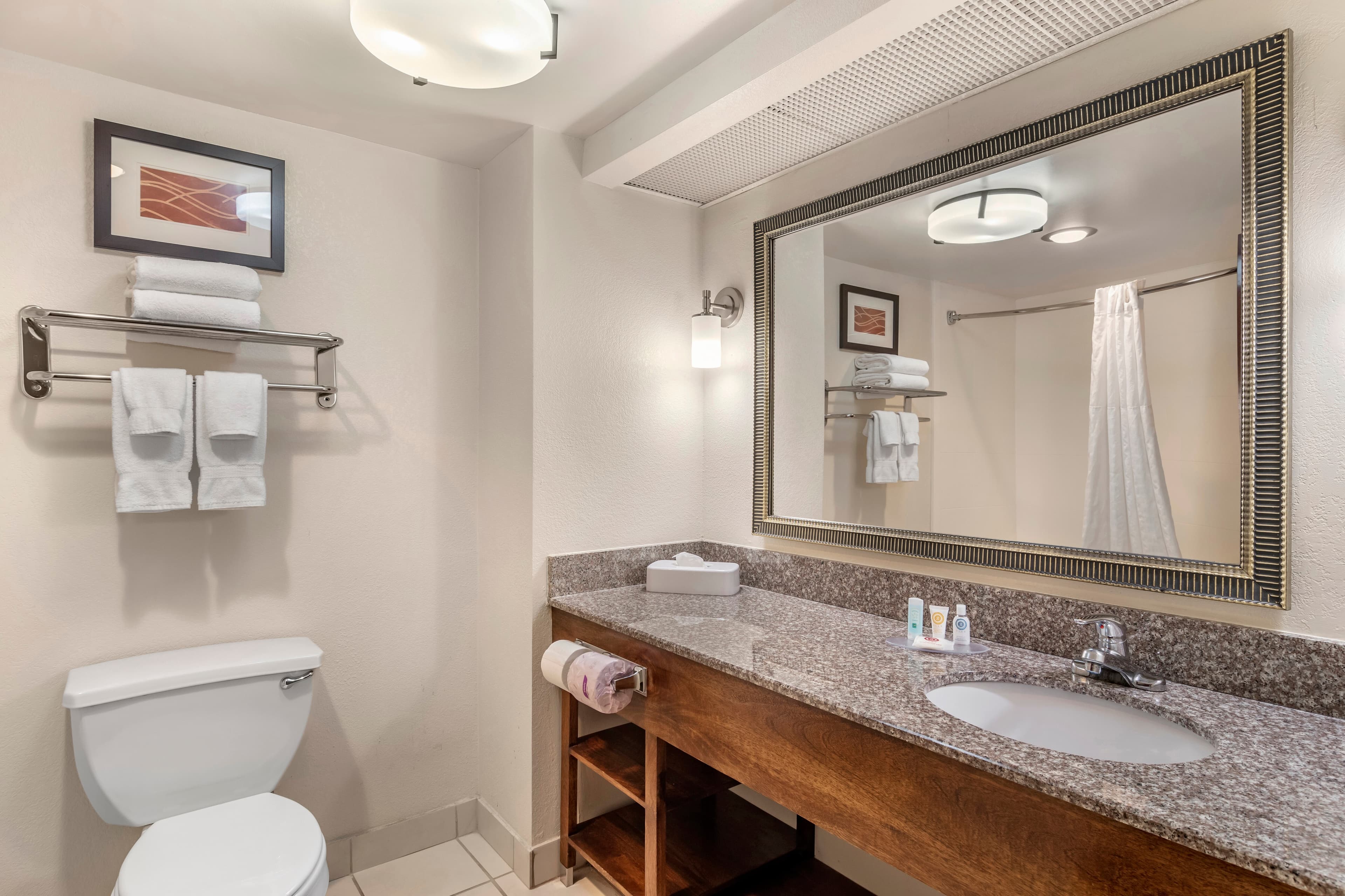Comfort Inn & Suites Athens North — 23
