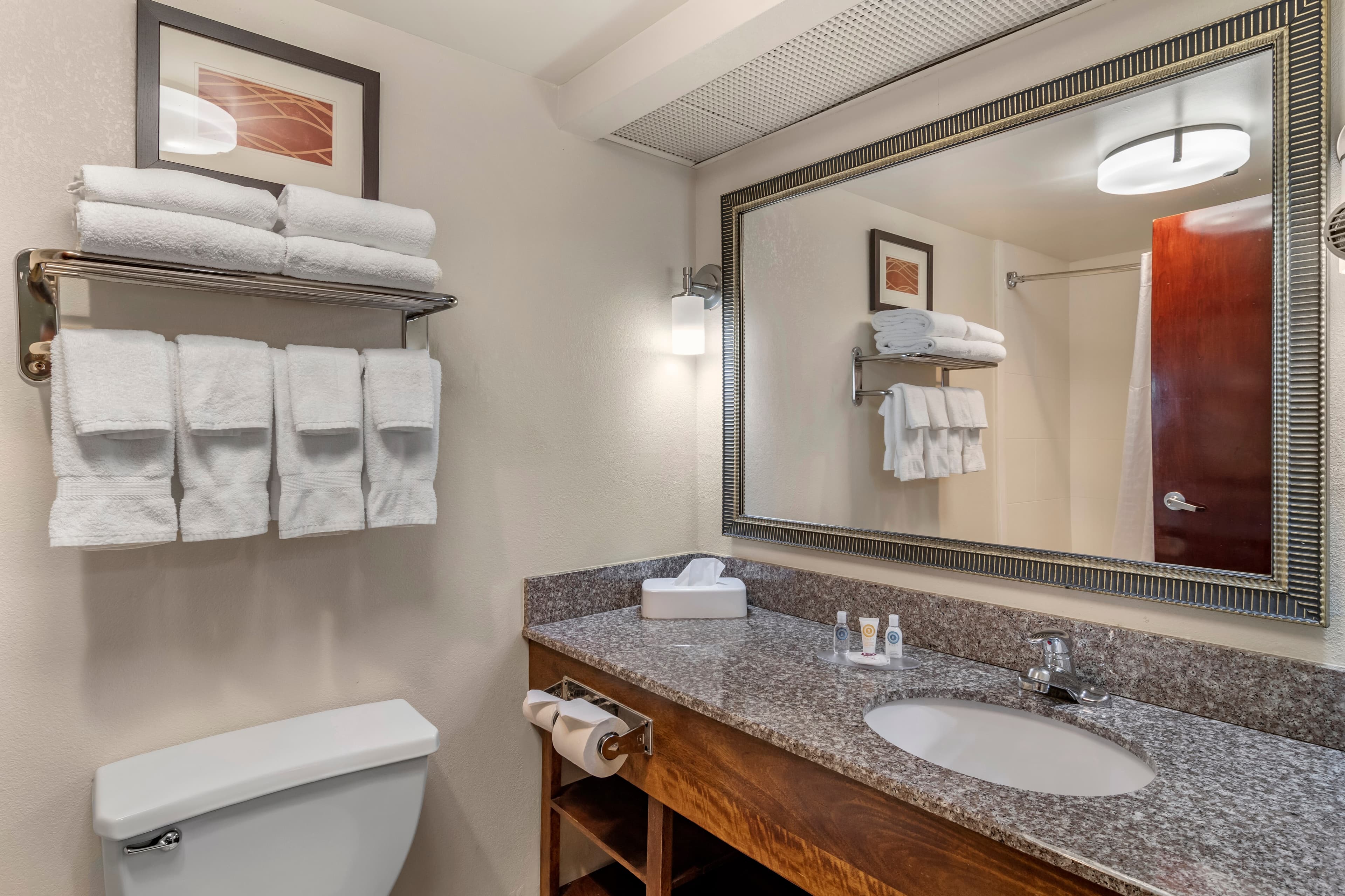 Comfort Inn & Suites Athens North — 31