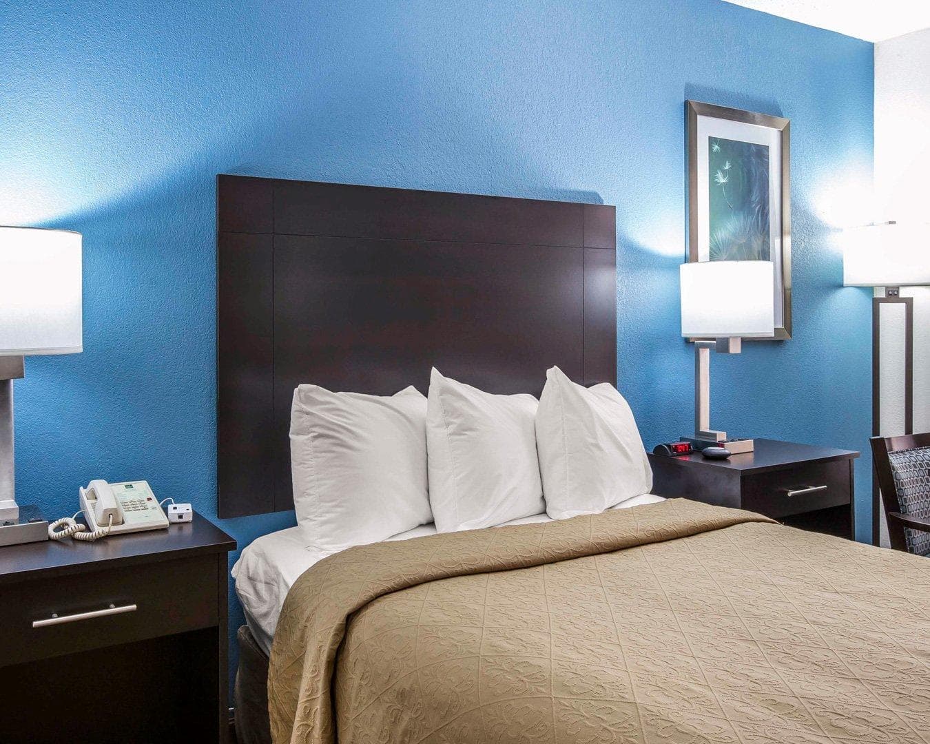 Quality Inn Macon West — 11
