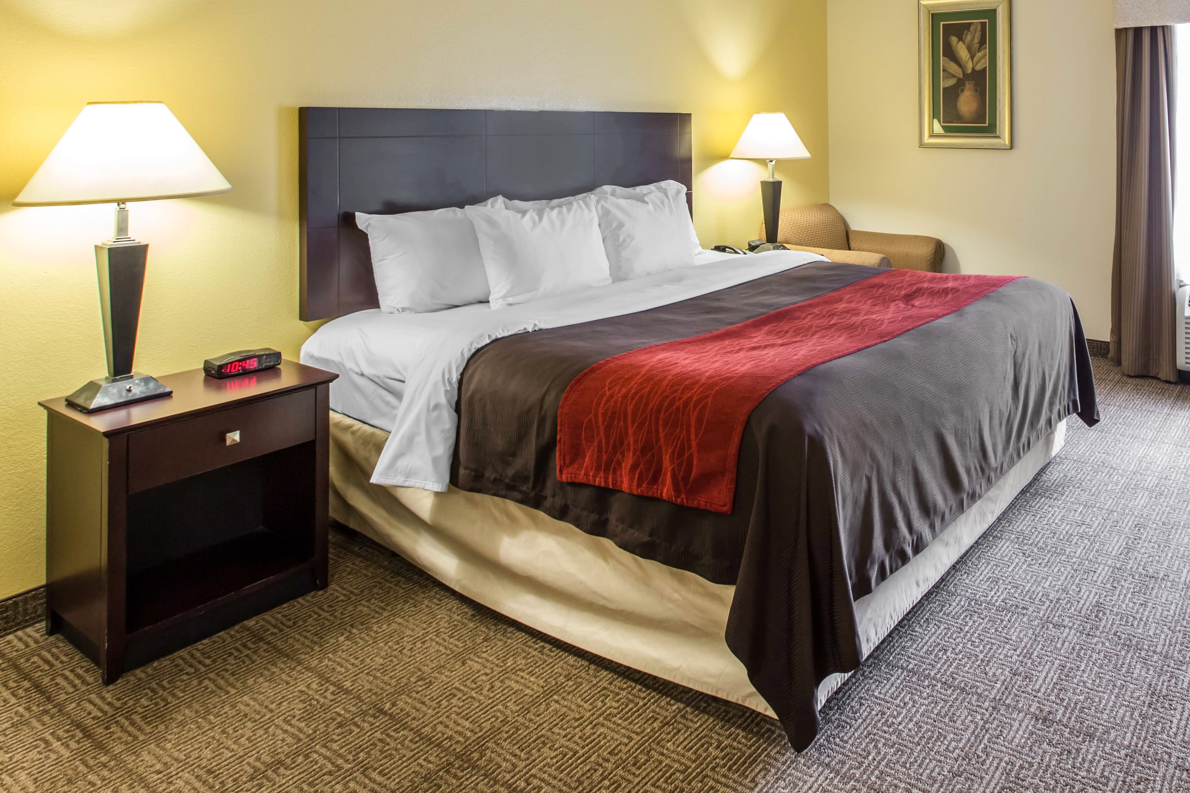 Comfort Inn & Suites Thomson - Image 2