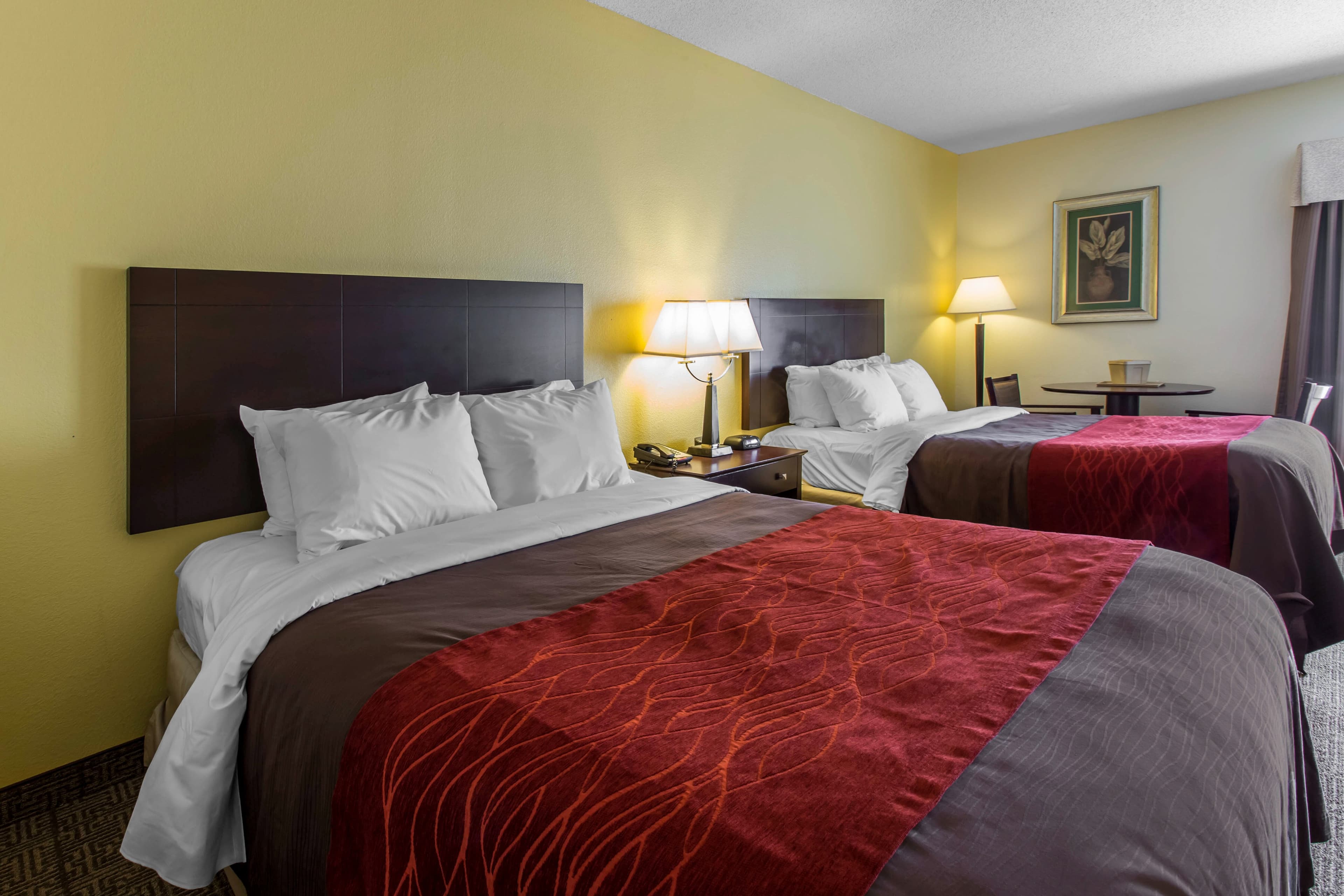 Comfort Inn & Suites Thomson — 8