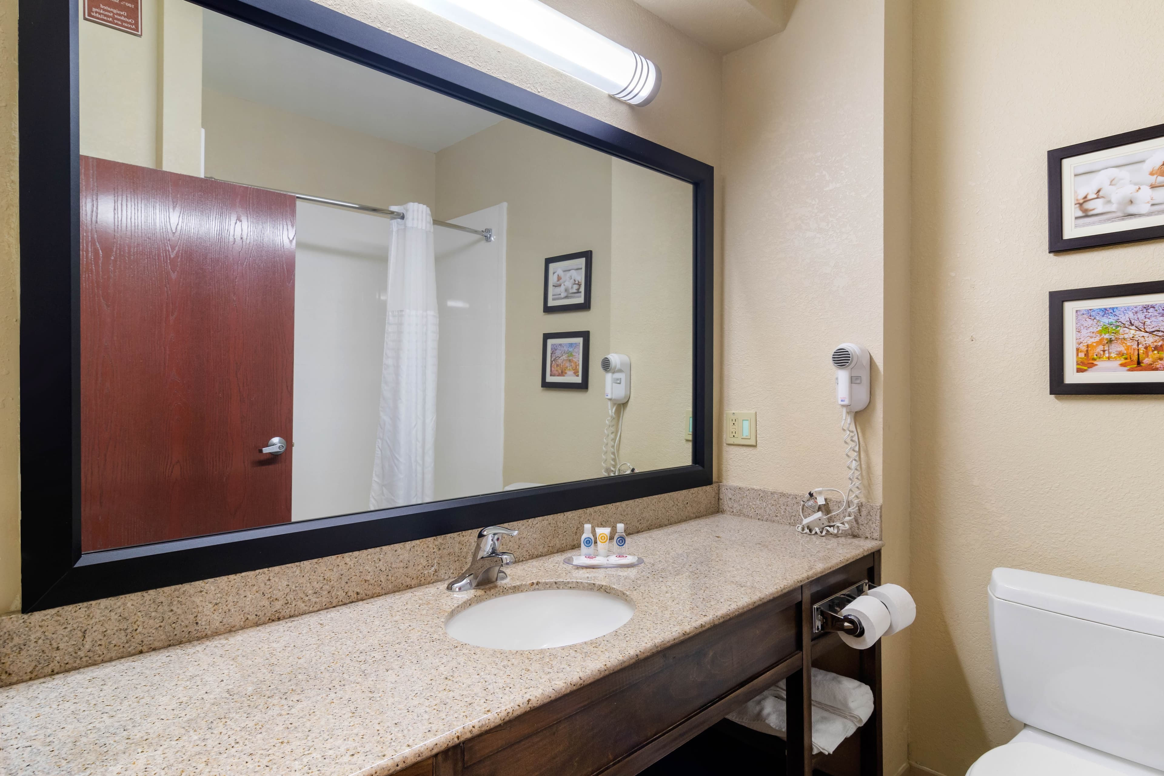 Comfort Inn & Suites Griffin North — 14