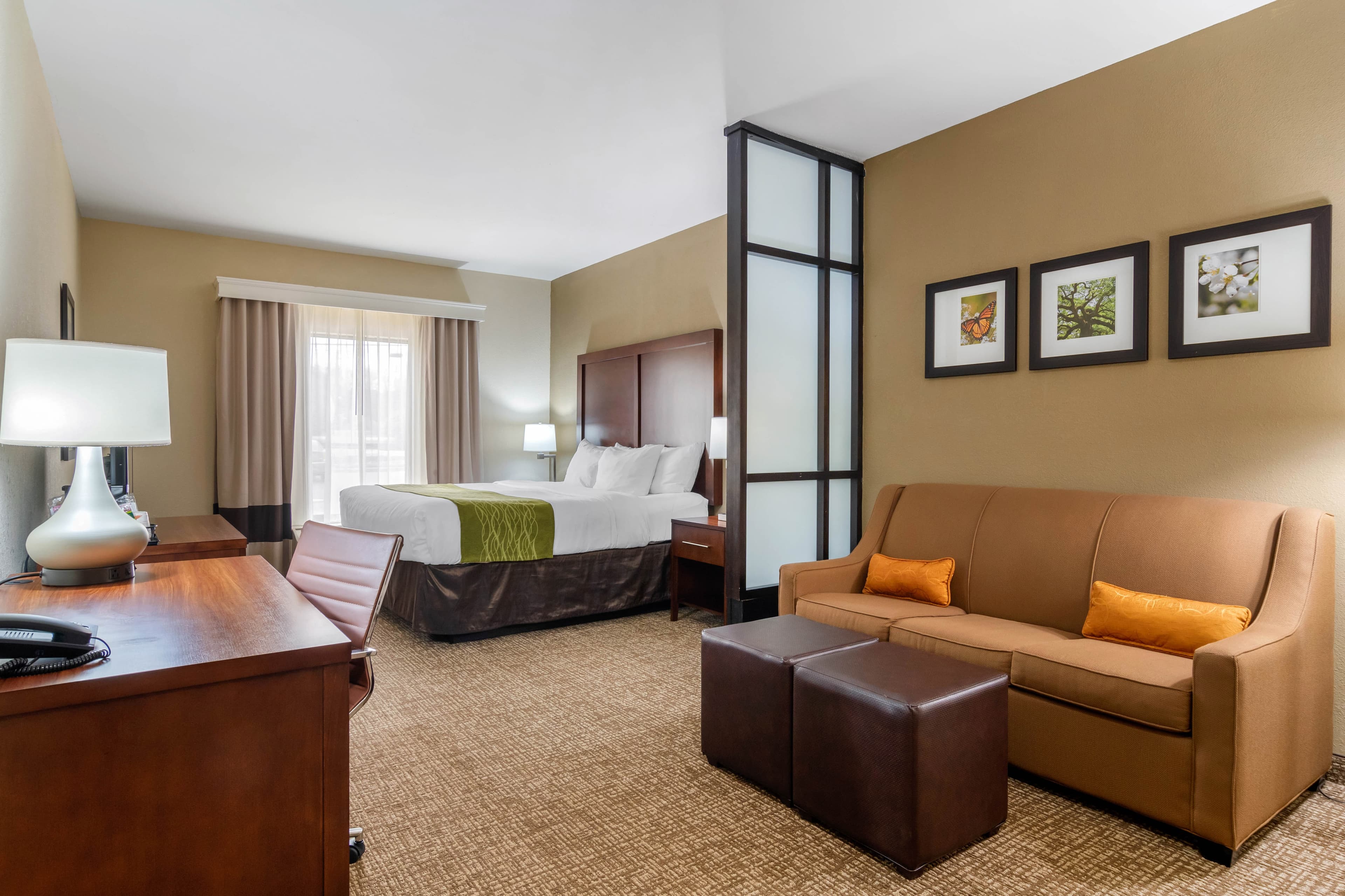 Comfort Inn & Suites Griffin North — 15